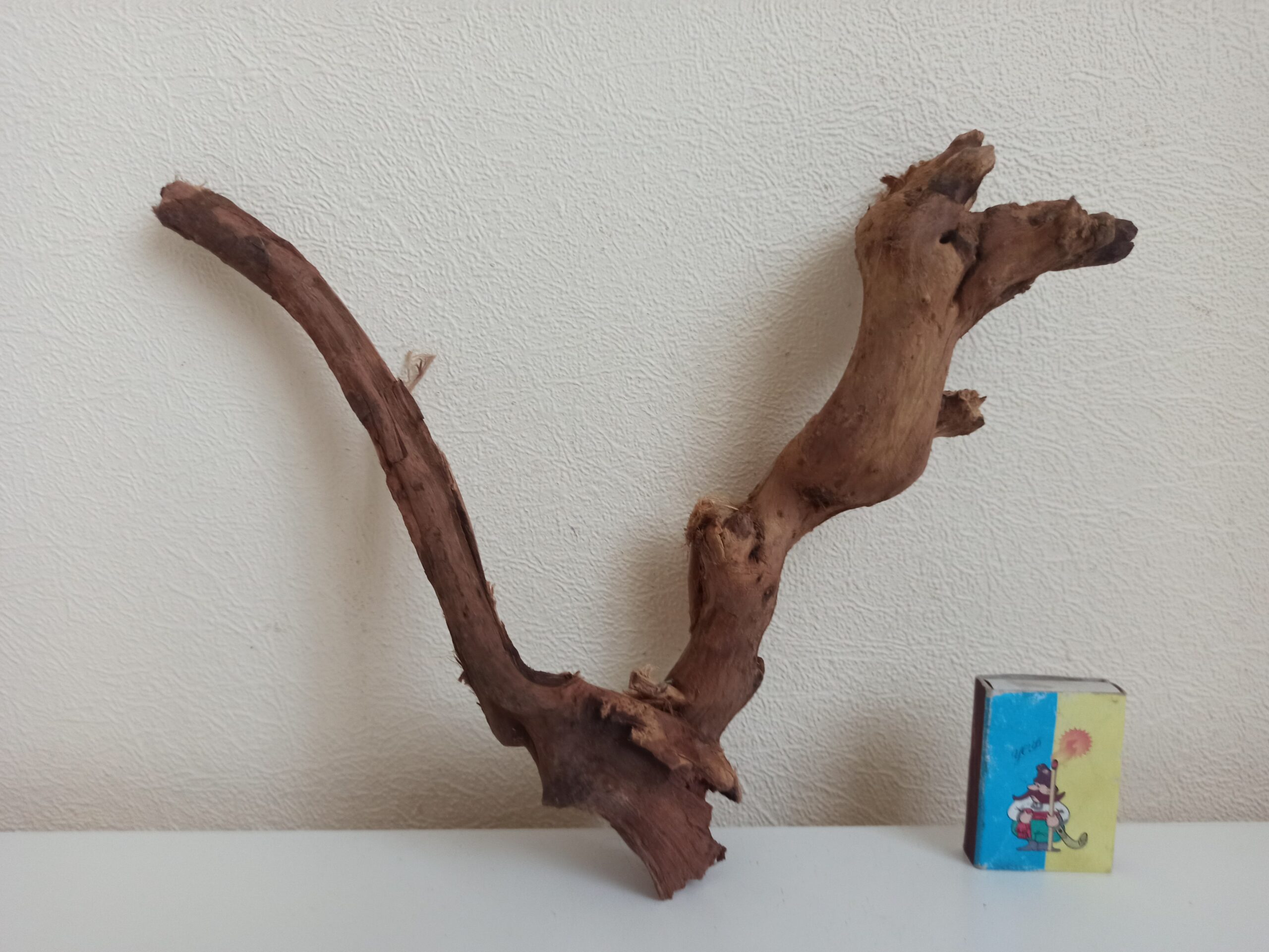 Коряга декор для акваріума # 45. Кораловий корінь. Ціна 285 грн. - Зображення 2