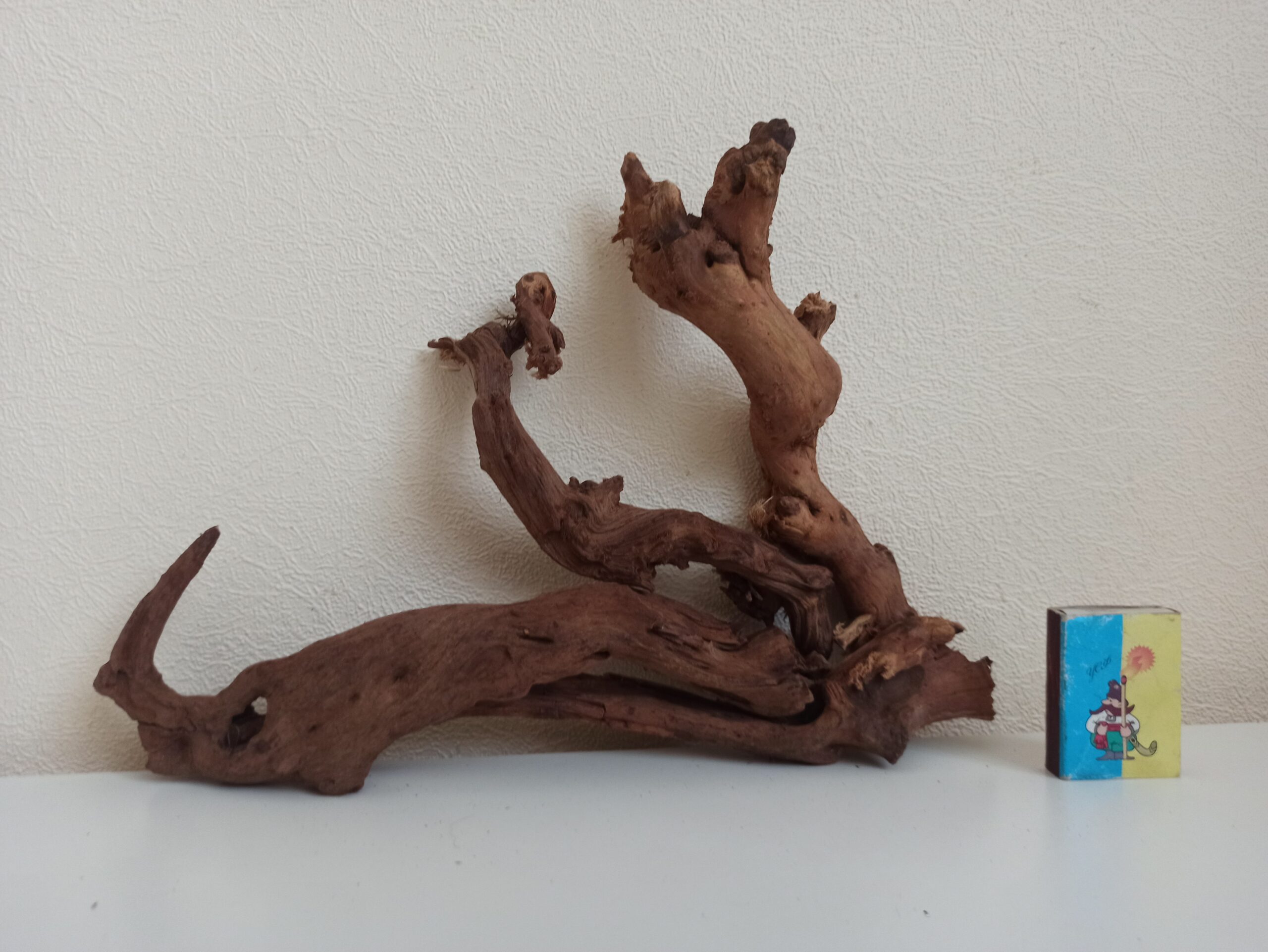 Композиція з коряг для акваріума #21. Кораловий корінь. Ціна 480 грн. - Зображення 2