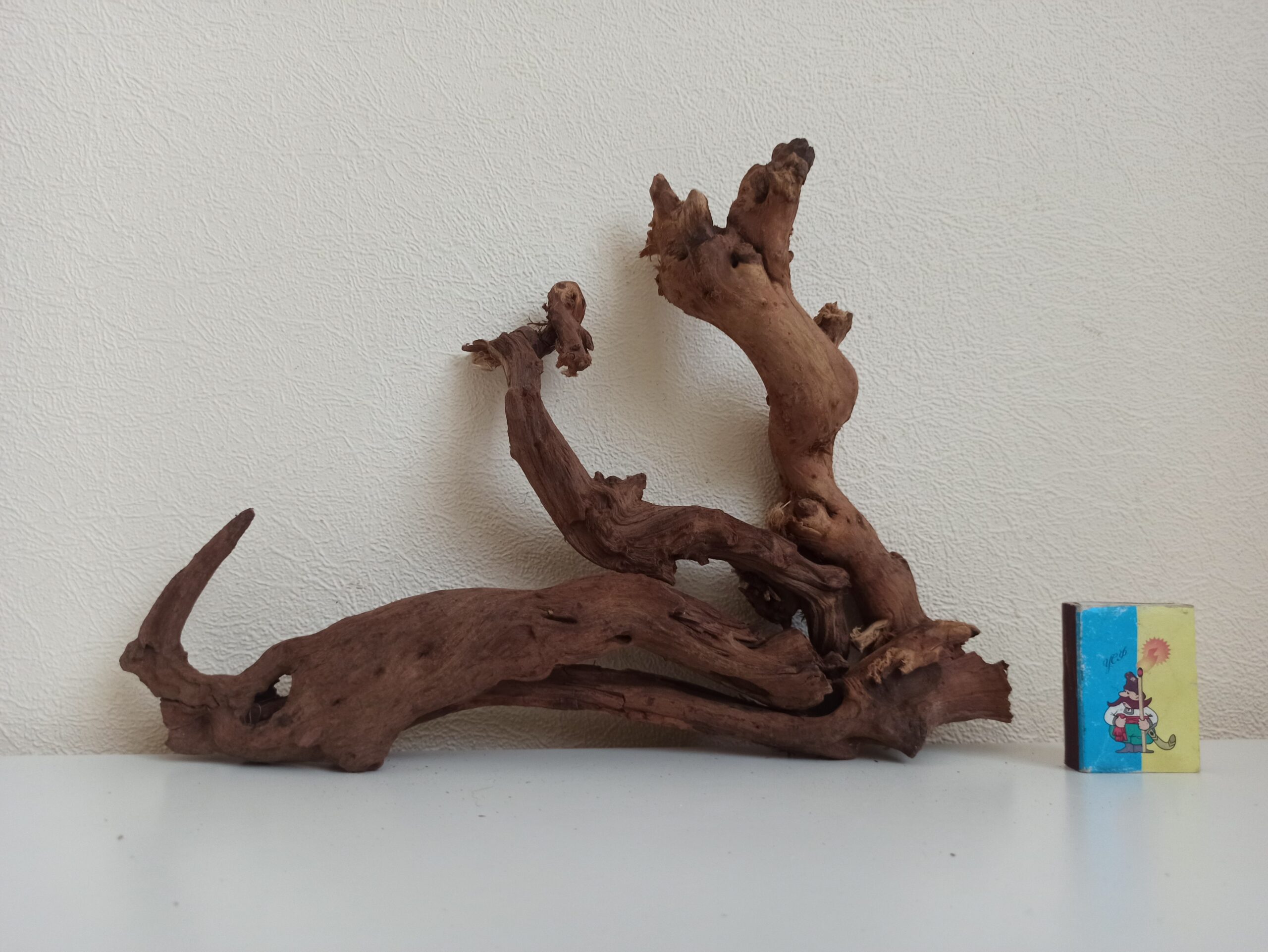 Композиція з коряг для акваріума #21. Кораловий корінь. Ціна 480 грн. - Зображення 5