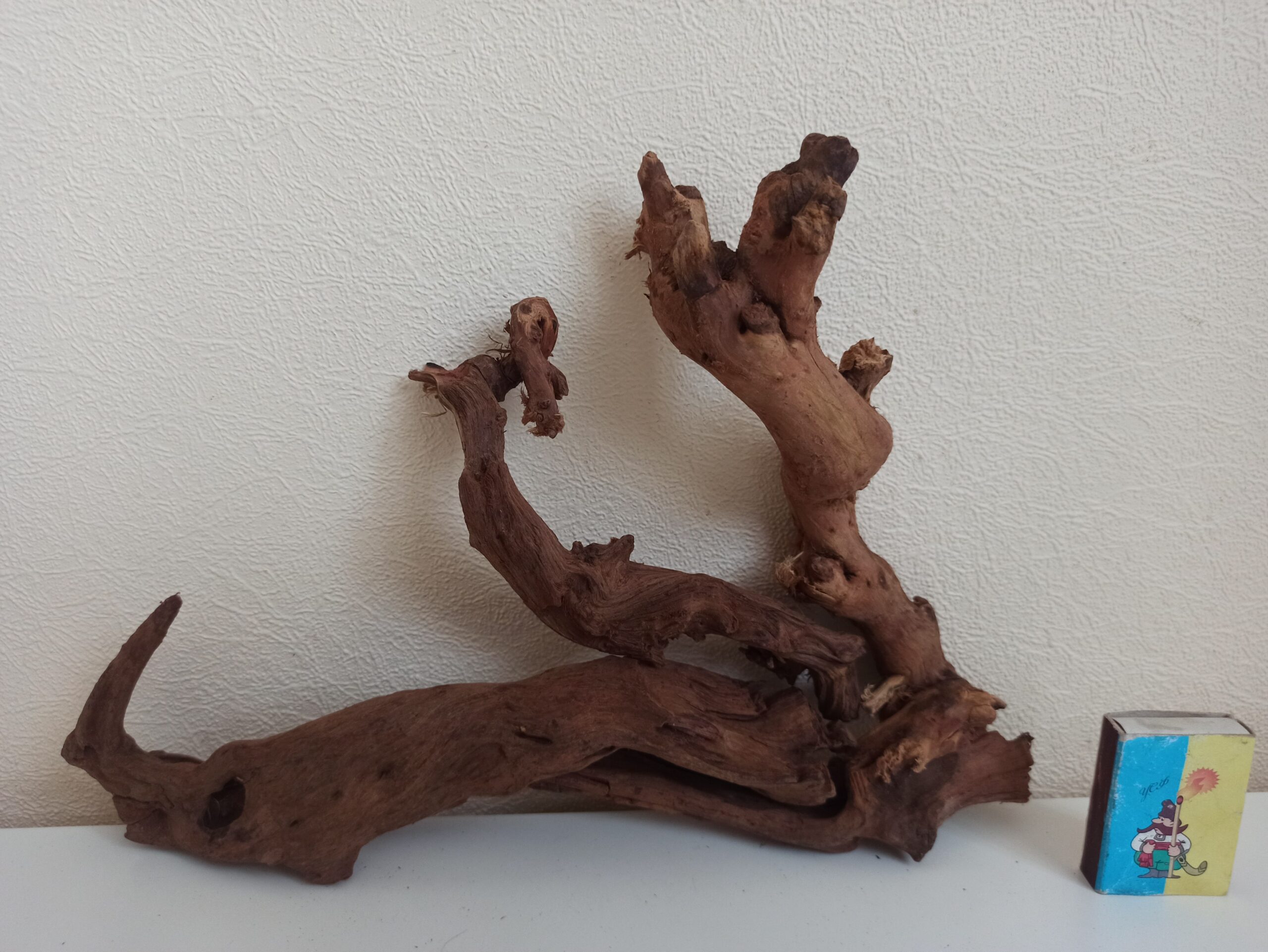 Композиція з коряг для акваріума #21. Кораловий корінь. Ціна 480 грн.