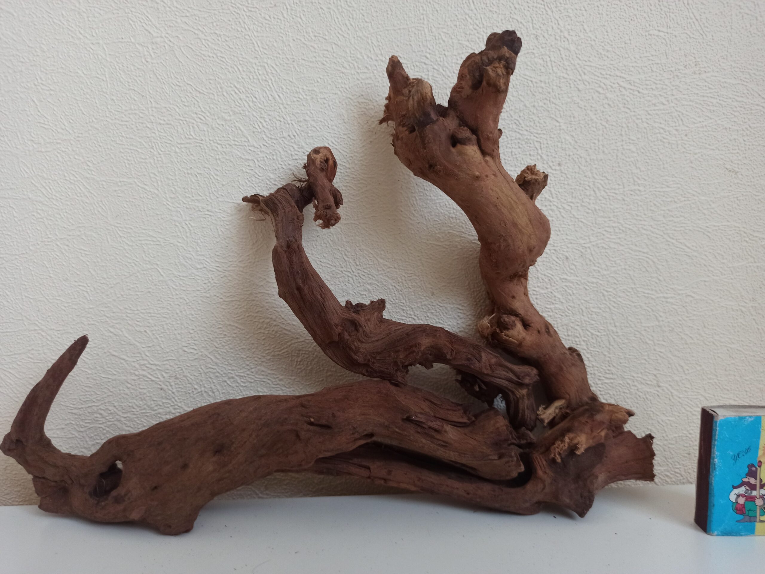 Композиція з коряг для акваріума #21. Кораловий корінь. Ціна 480 грн. - Зображення 3