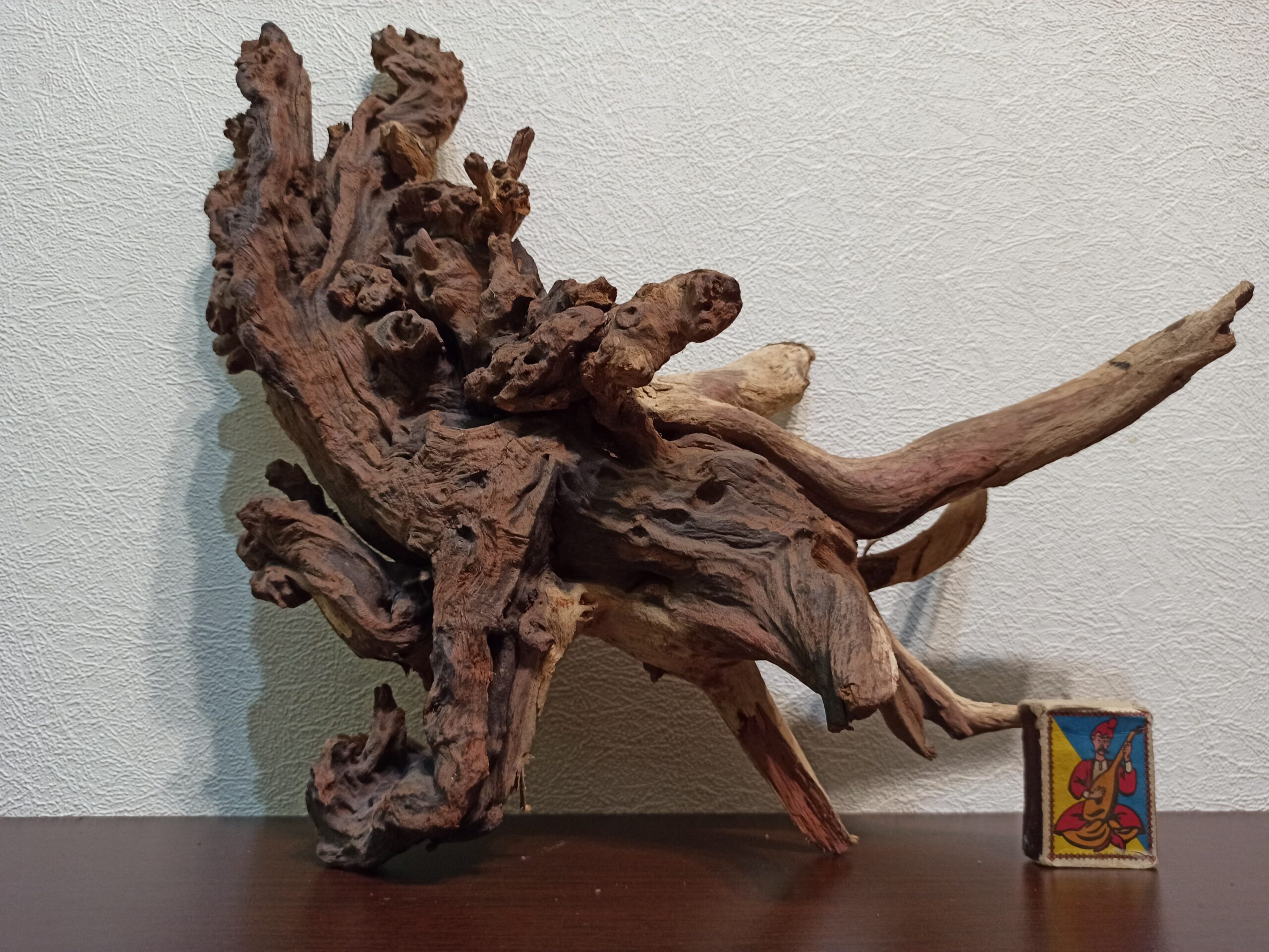 Коряга декор для акваріума # 70. Кораловий корінь. Ціна 1350 грн. - Зображення 8