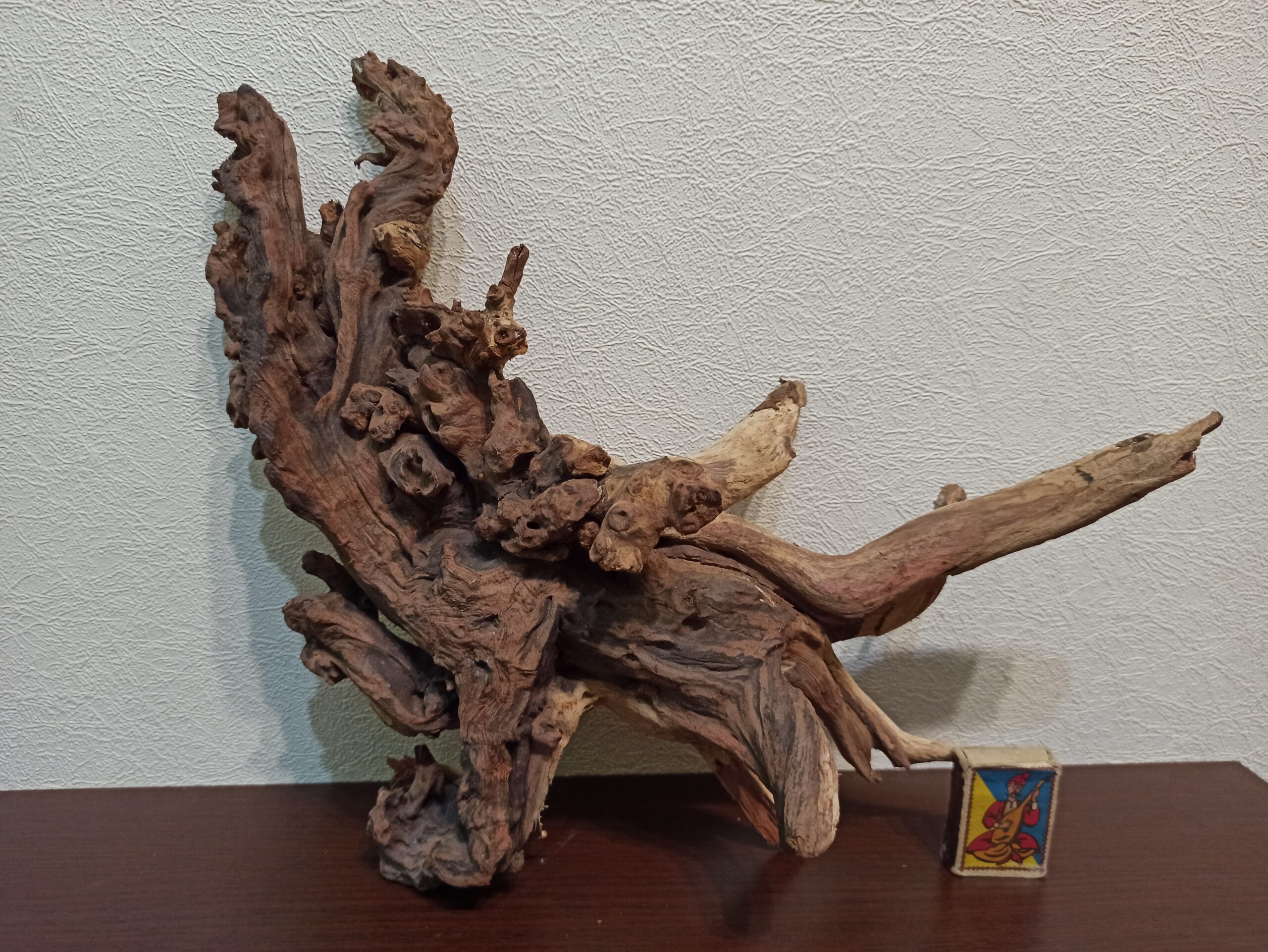 Коряга декор для акваріума # 70. Кораловий корінь. Ціна 1350 грн. - Зображення 7