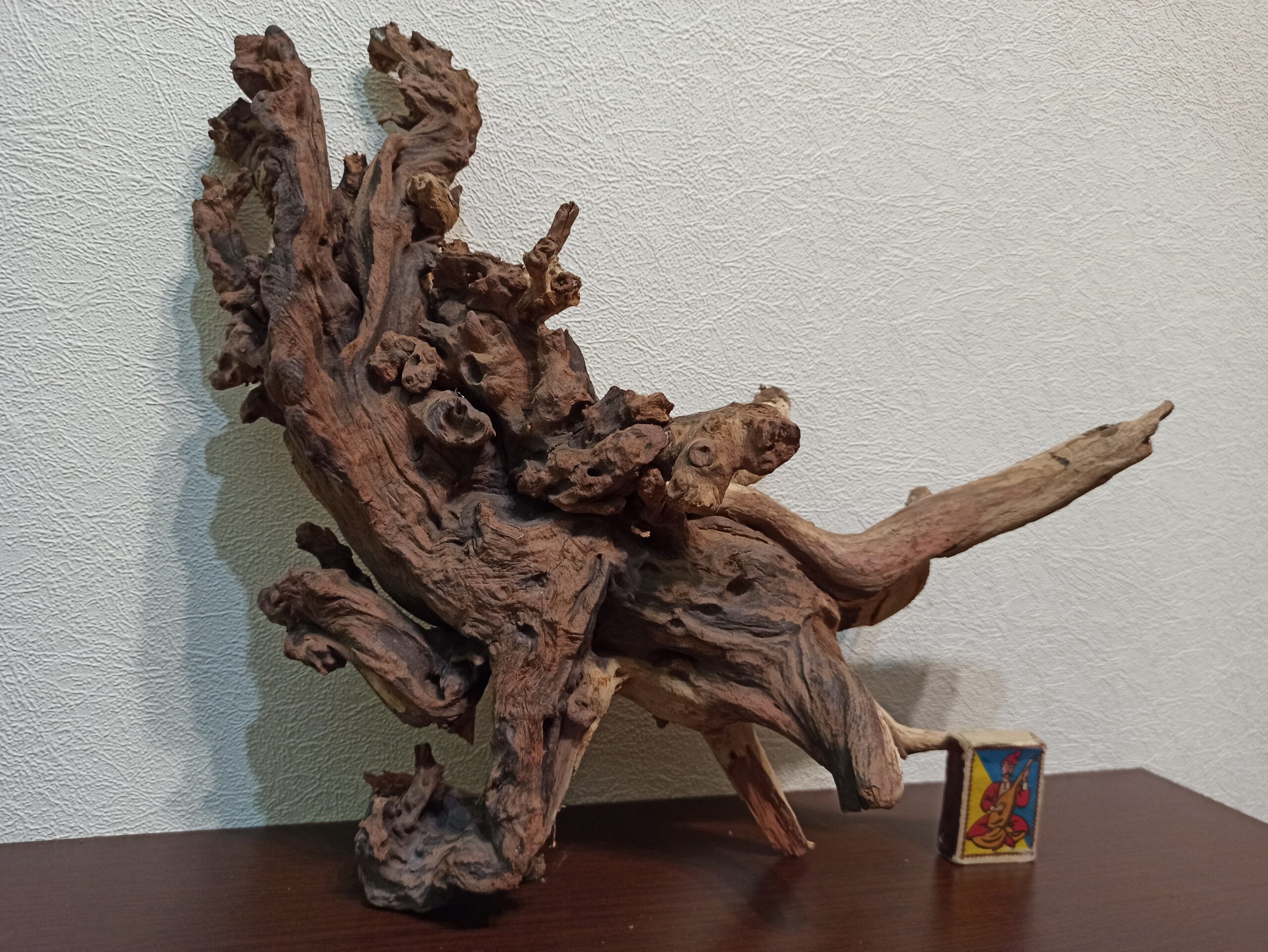 Коряга декор для акваріума # 70. Кораловий корінь. Ціна 1350 грн. - Зображення 6