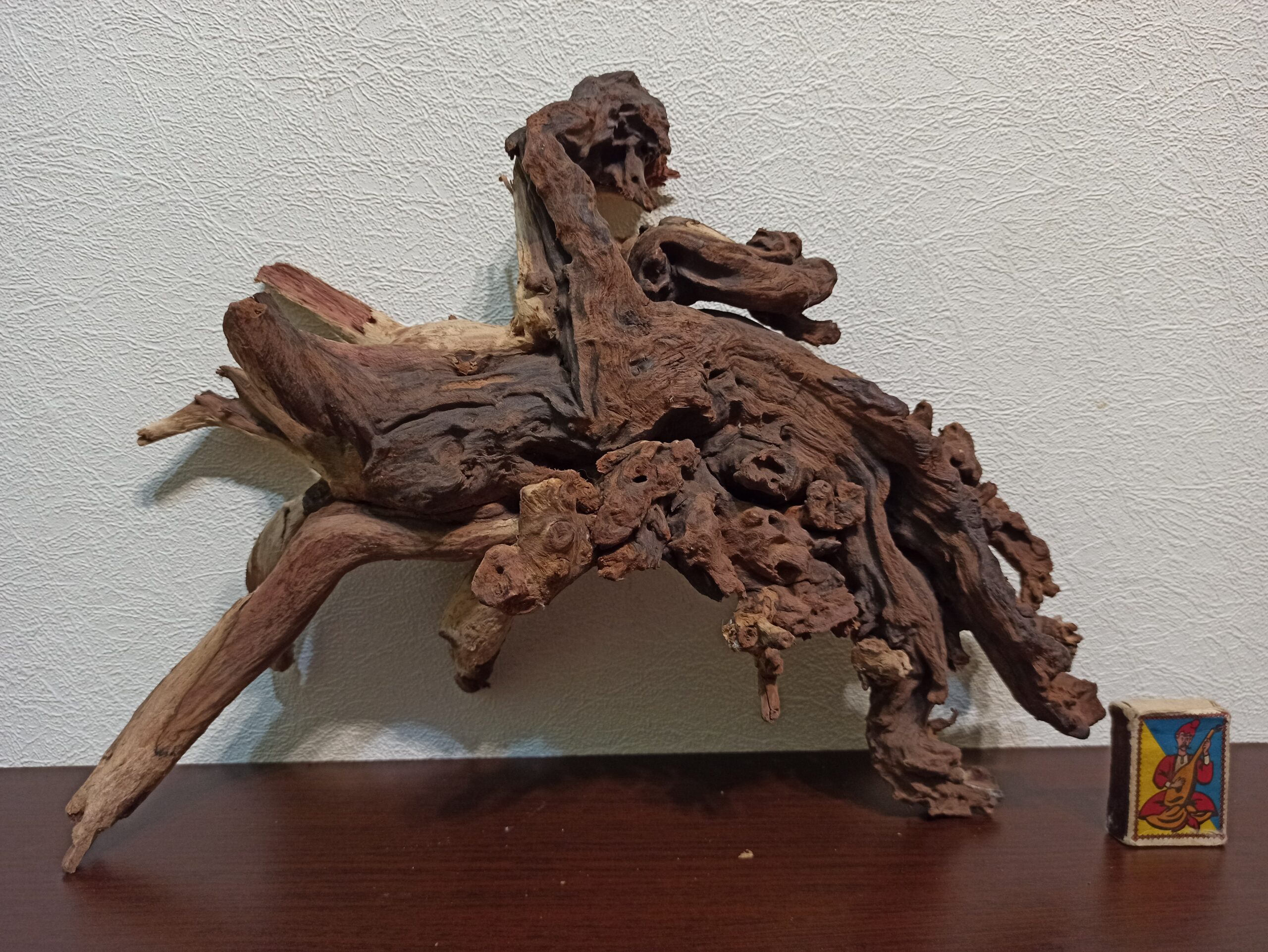 Коряга декор для акваріума # 70. Кораловий корінь. Ціна 1350 грн. - Зображення 5