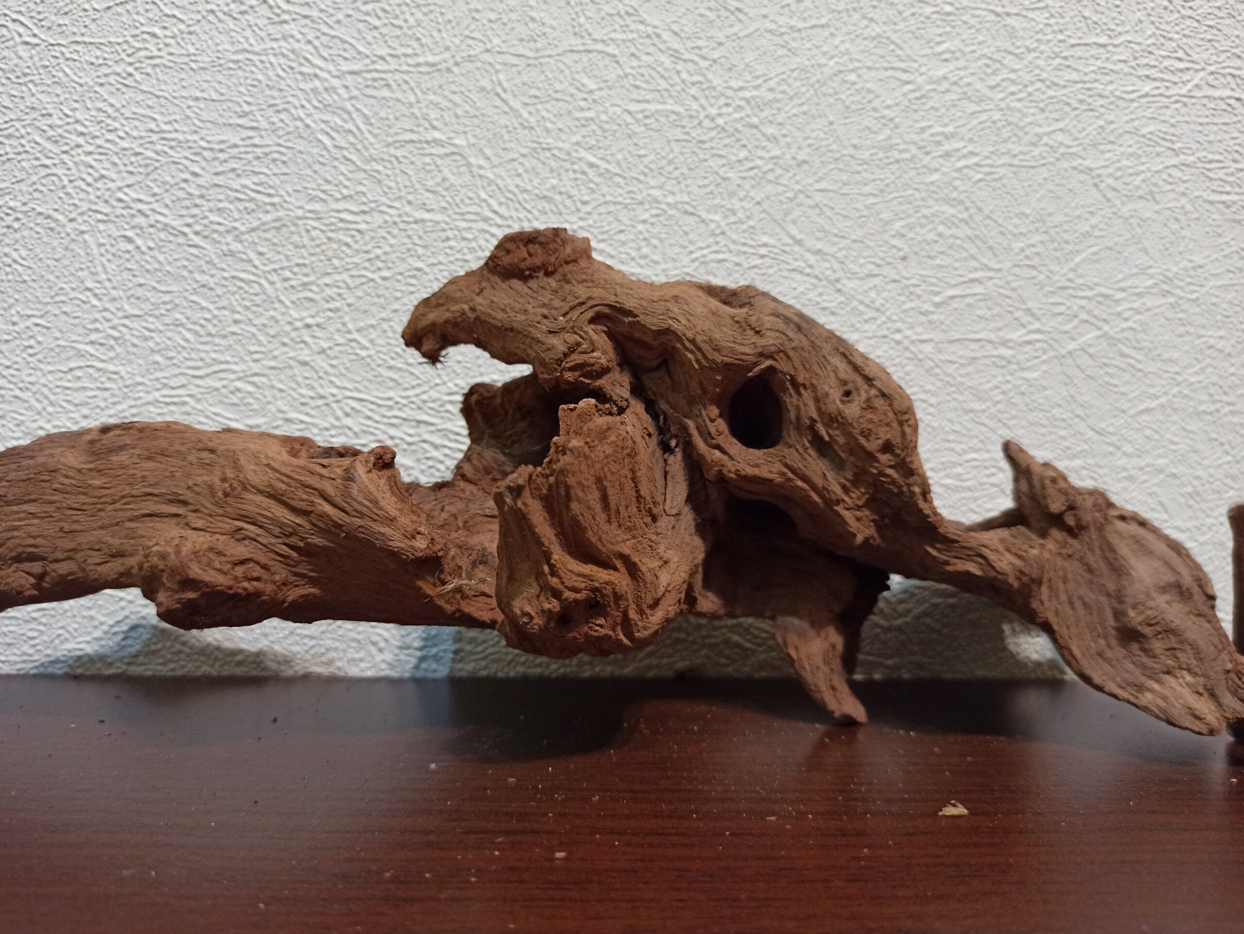 Коряга декор для акваріума # 72. Кораловий корінь. Ціна 385 грн. - Зображення 7