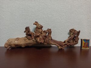 Коряга декор для акваріума # 76. Кораловий корінь. Ціна 440 грн.