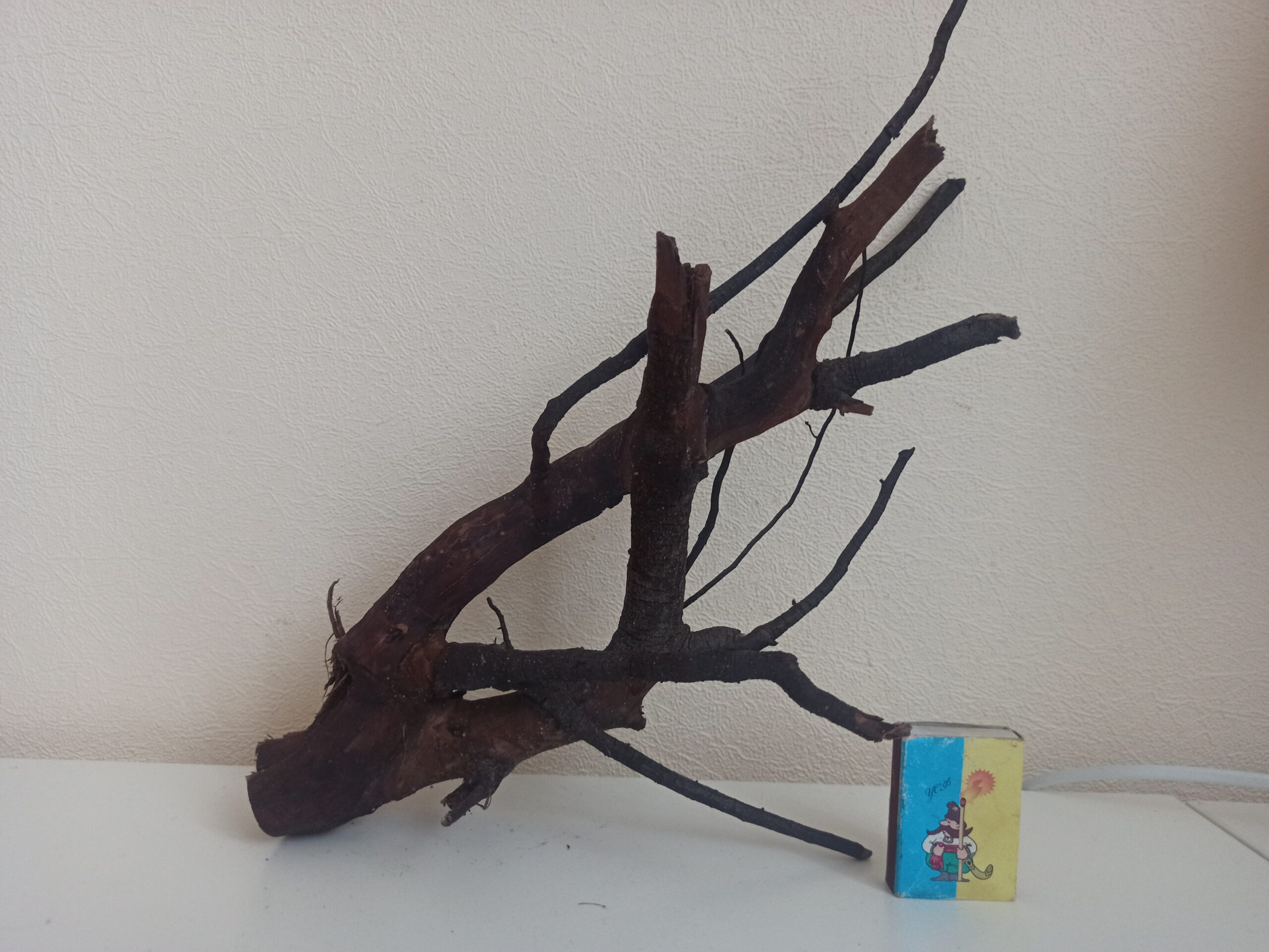 Коряга декор для акваріума # 82. Крушина. Ціна 240 грн.