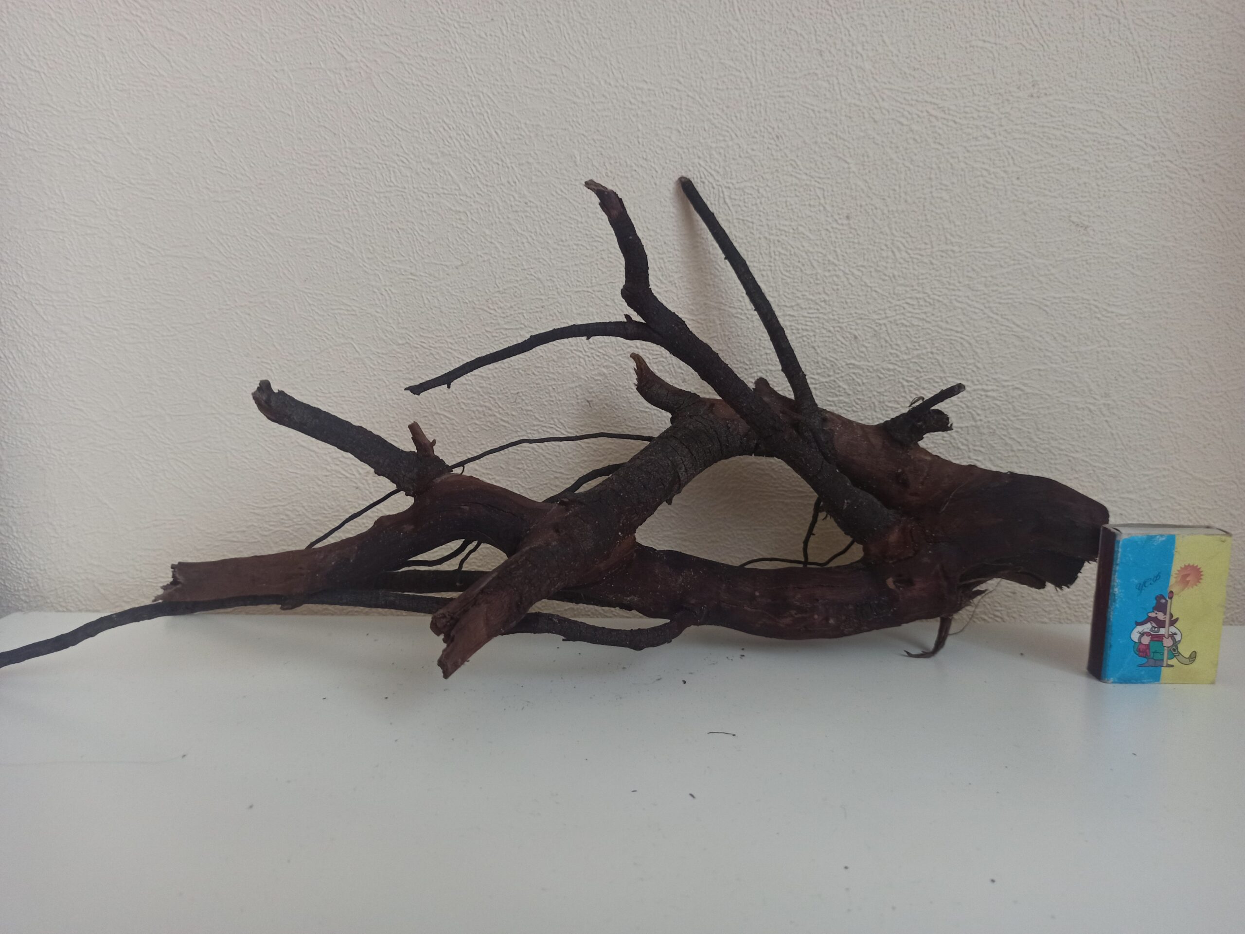 Коряга декор для акваріума # 82. Крушина. Ціна 240 грн. - Зображення 7