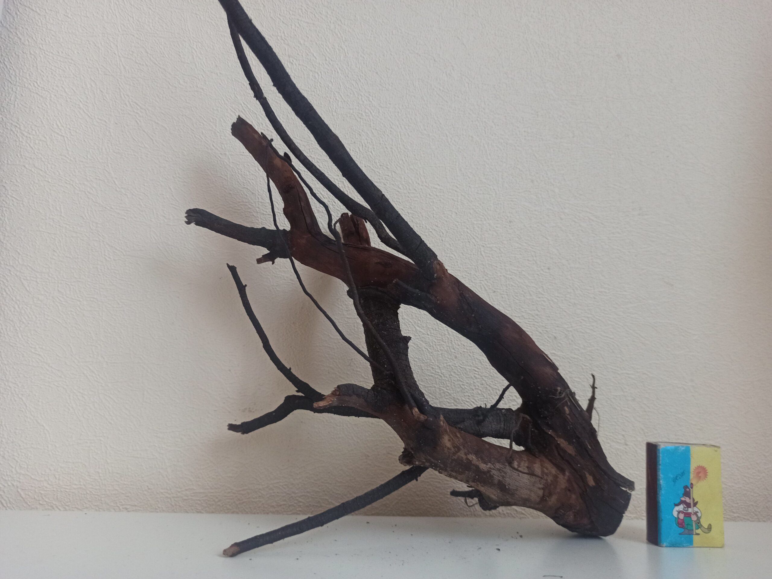 Коряга декор для акваріума # 82. Крушина. Ціна 240 грн. - Зображення 6