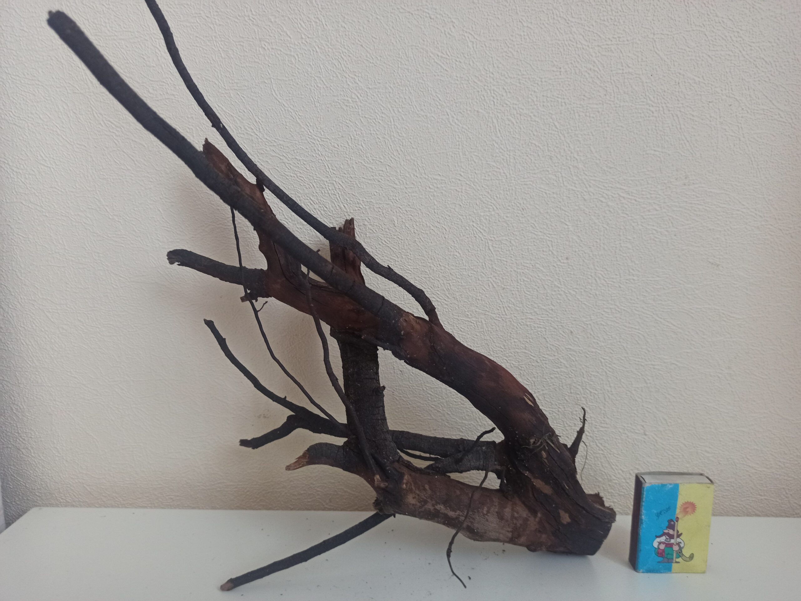 Коряга декор для акваріума # 82. Крушина. Ціна 240 грн. - Зображення 5