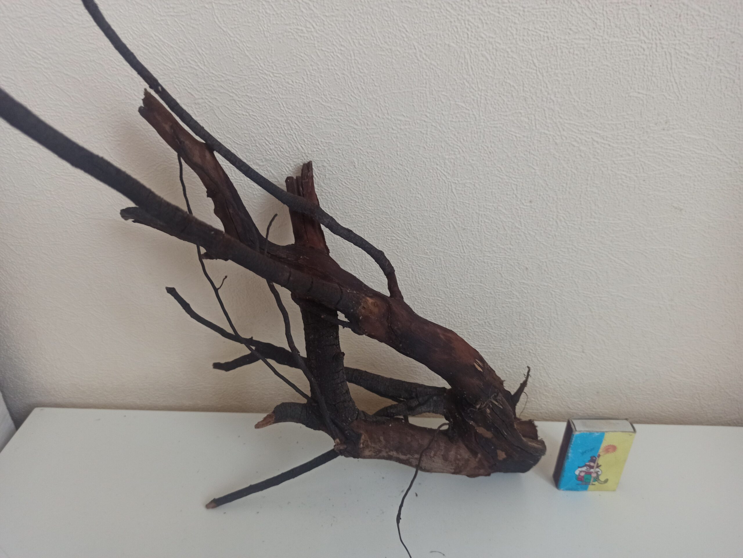 Коряга декор для акваріума # 82. Крушина. Ціна 240 грн. - Зображення 4