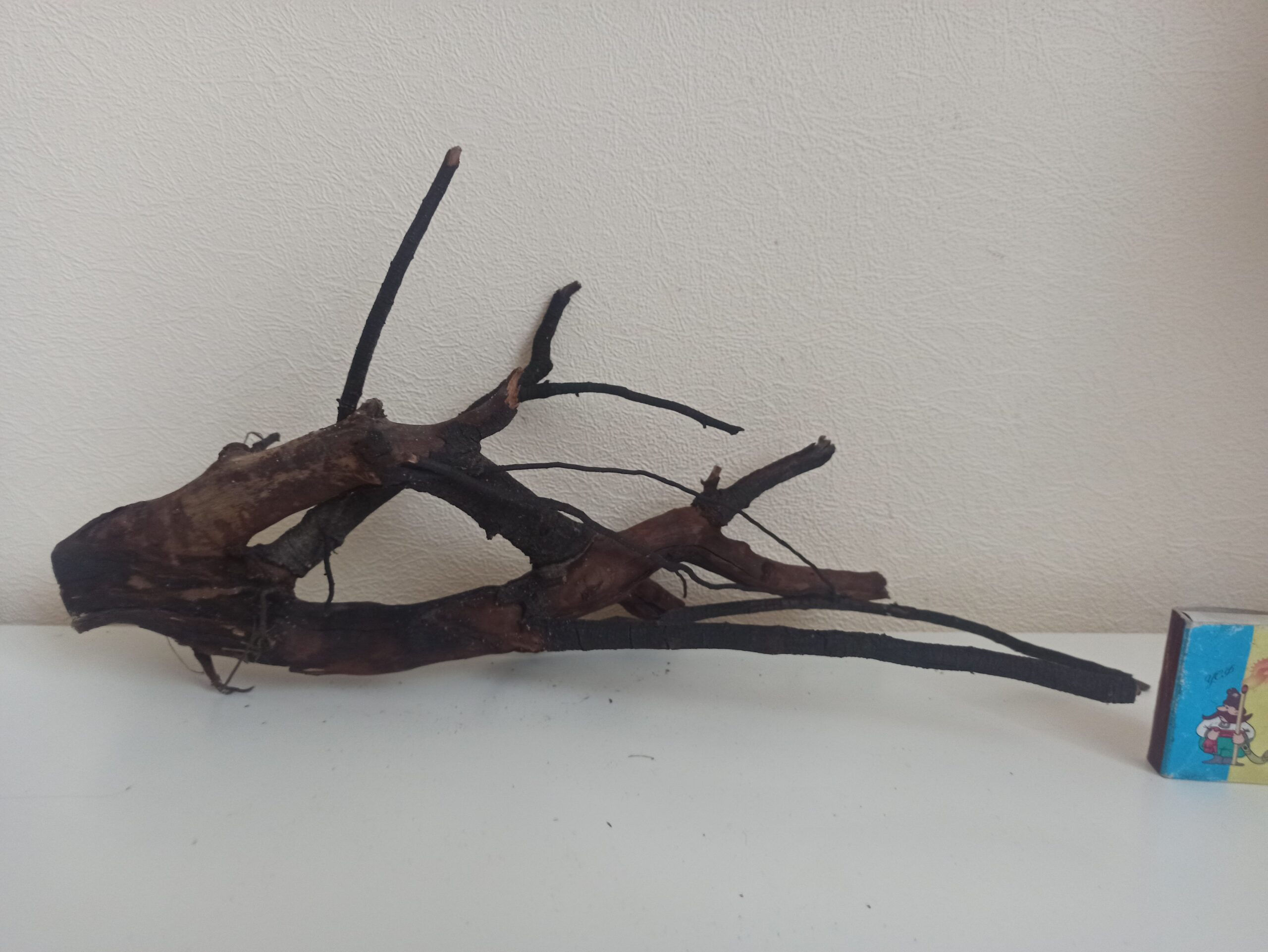 Коряга декор для акваріума # 82. Крушина. Ціна 240 грн. - Зображення 3