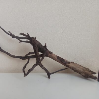 Коряга декор для акваріума # 86. Клен. Ціна 175 грн.