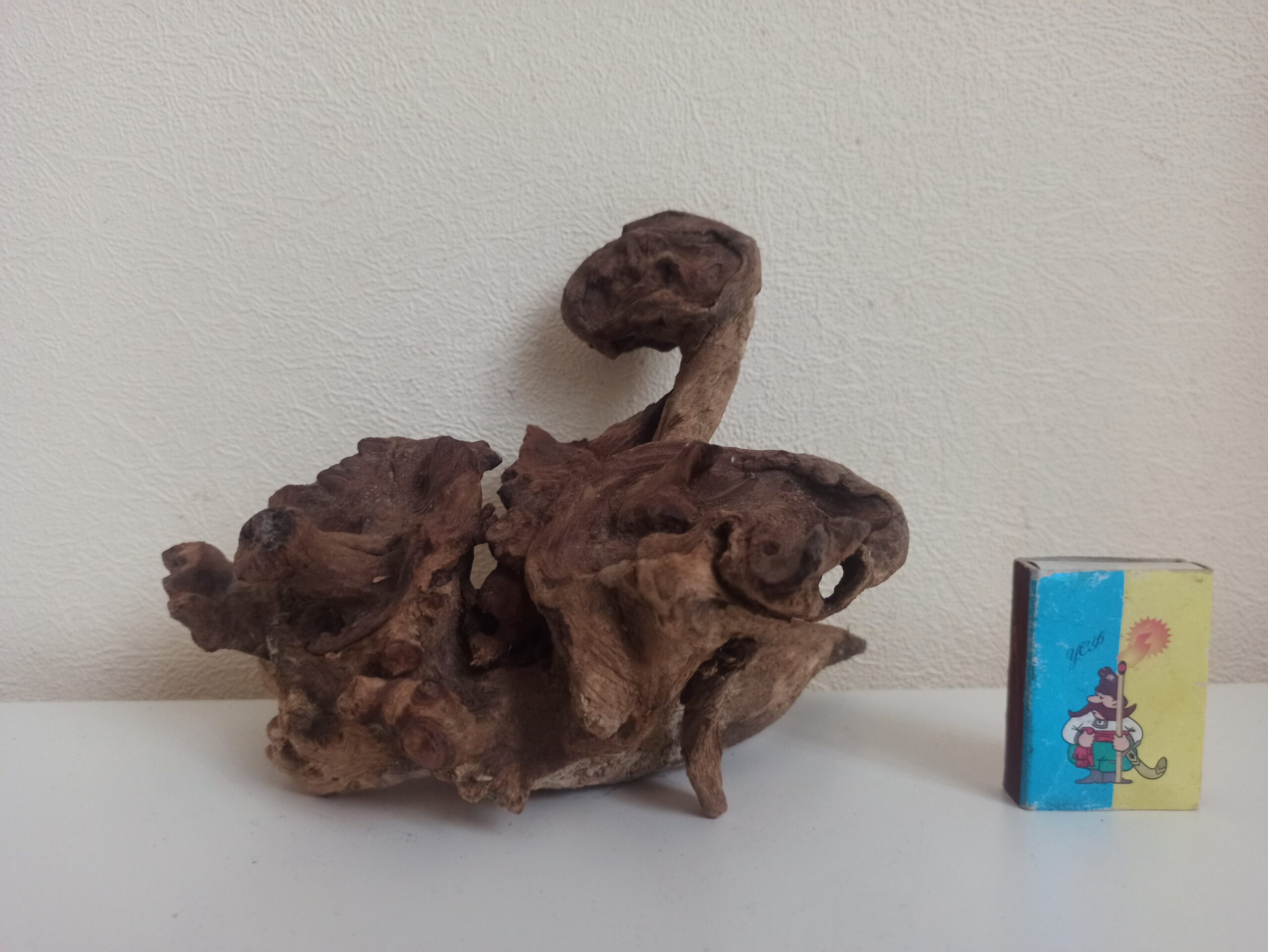 Коряга декор для акваріума # 89. Кораловий корінь. Ціна 320 грн. - Зображення 8