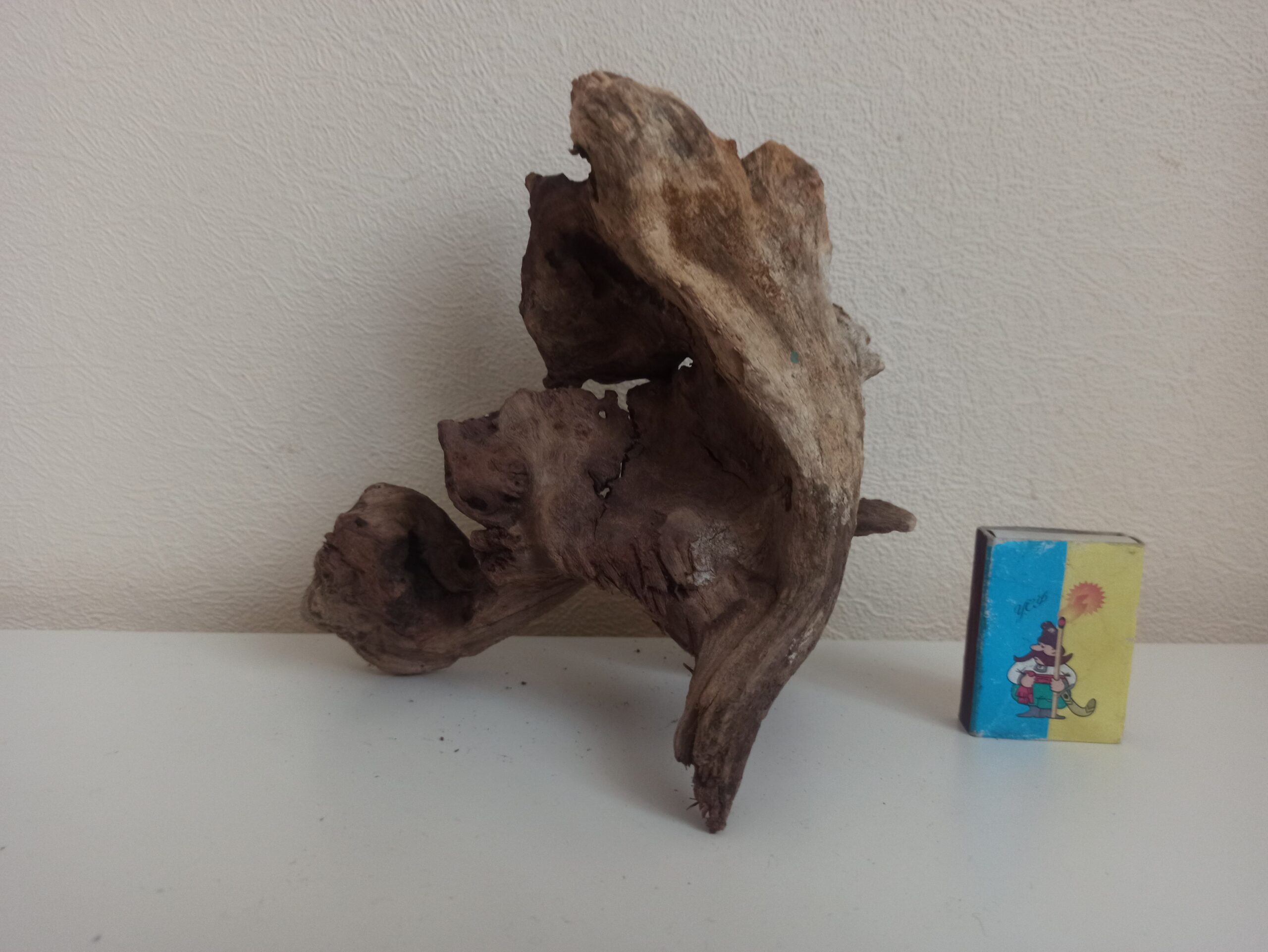 Коряга декор для акваріума # 89. Кораловий корінь. Ціна 320 грн. - Зображення 4