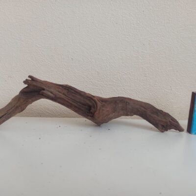 Коряга декор для акваріума # 99. Кораловий корінь. Ціна 130 грн.