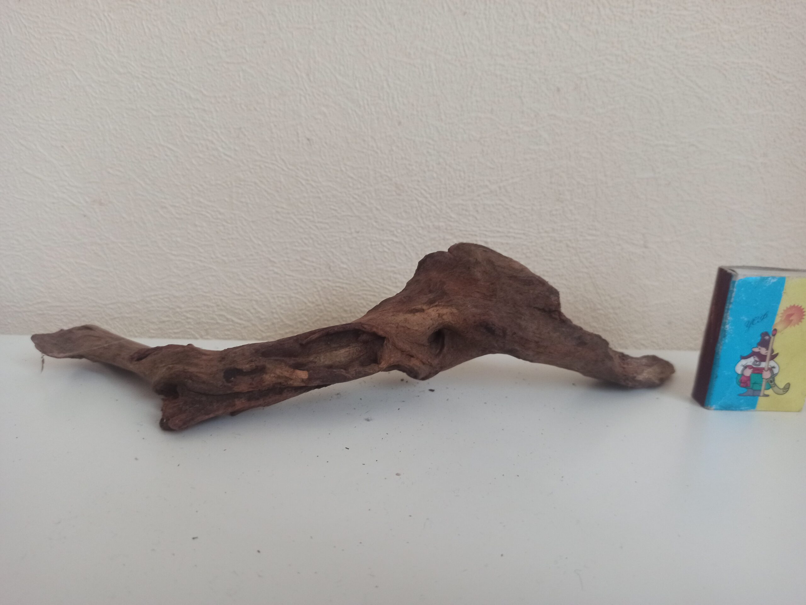 Коряга декор для акваріума # 99. Кораловий корінь. Ціна 130 грн. - Зображення 6