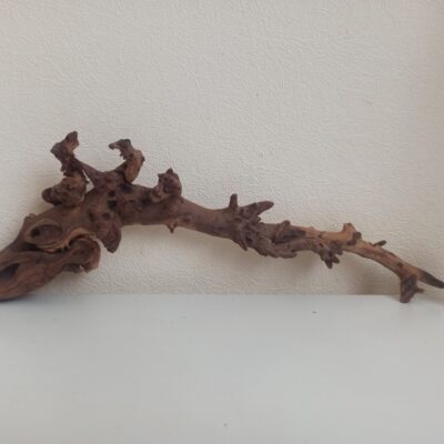 Коряга декор для акваріума # 69. Кораловий корінь. Ціна 385 грн.