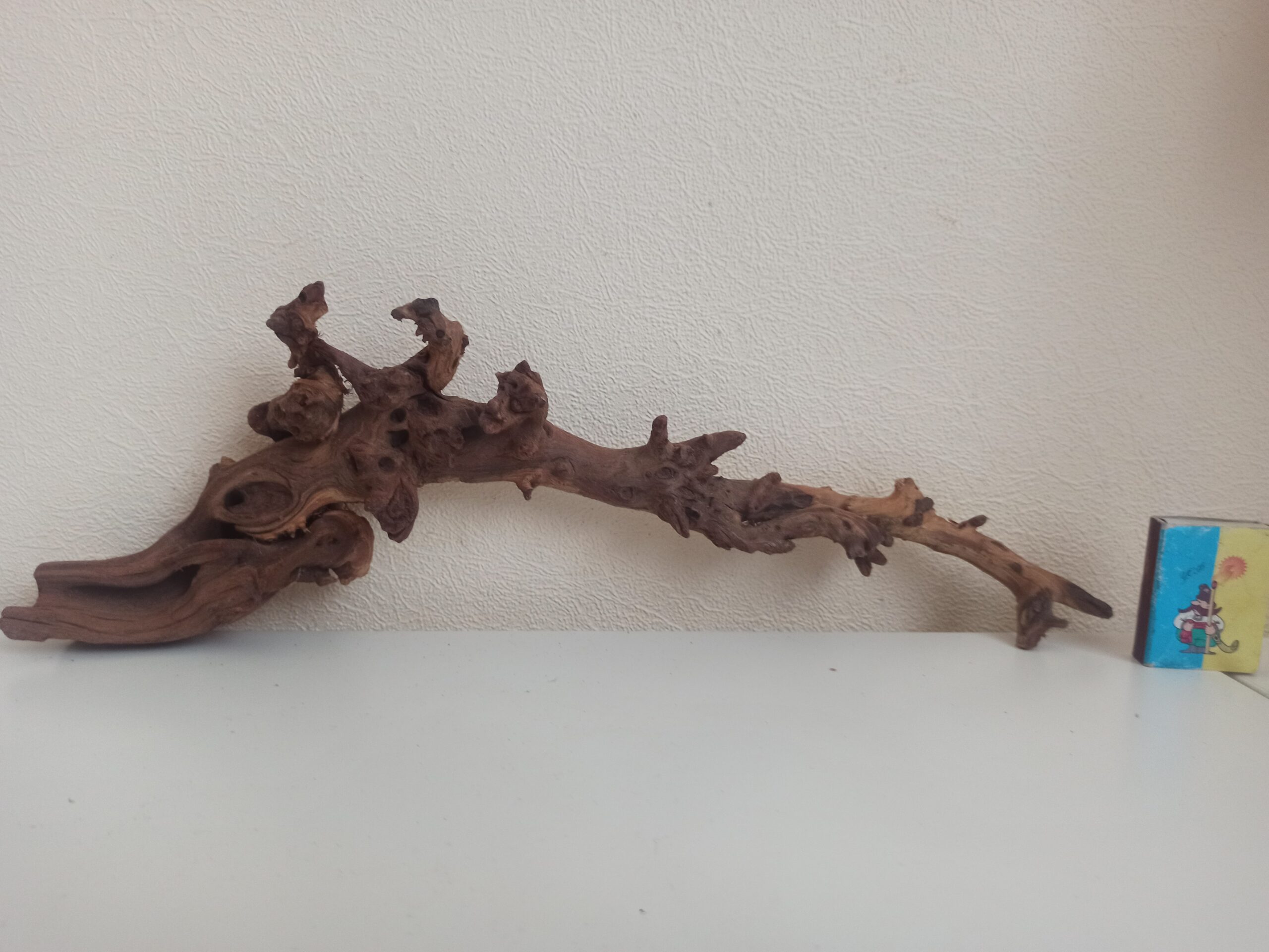 Коряга декор для акваріума # 69. Кораловий корінь. Ціна 385 грн.