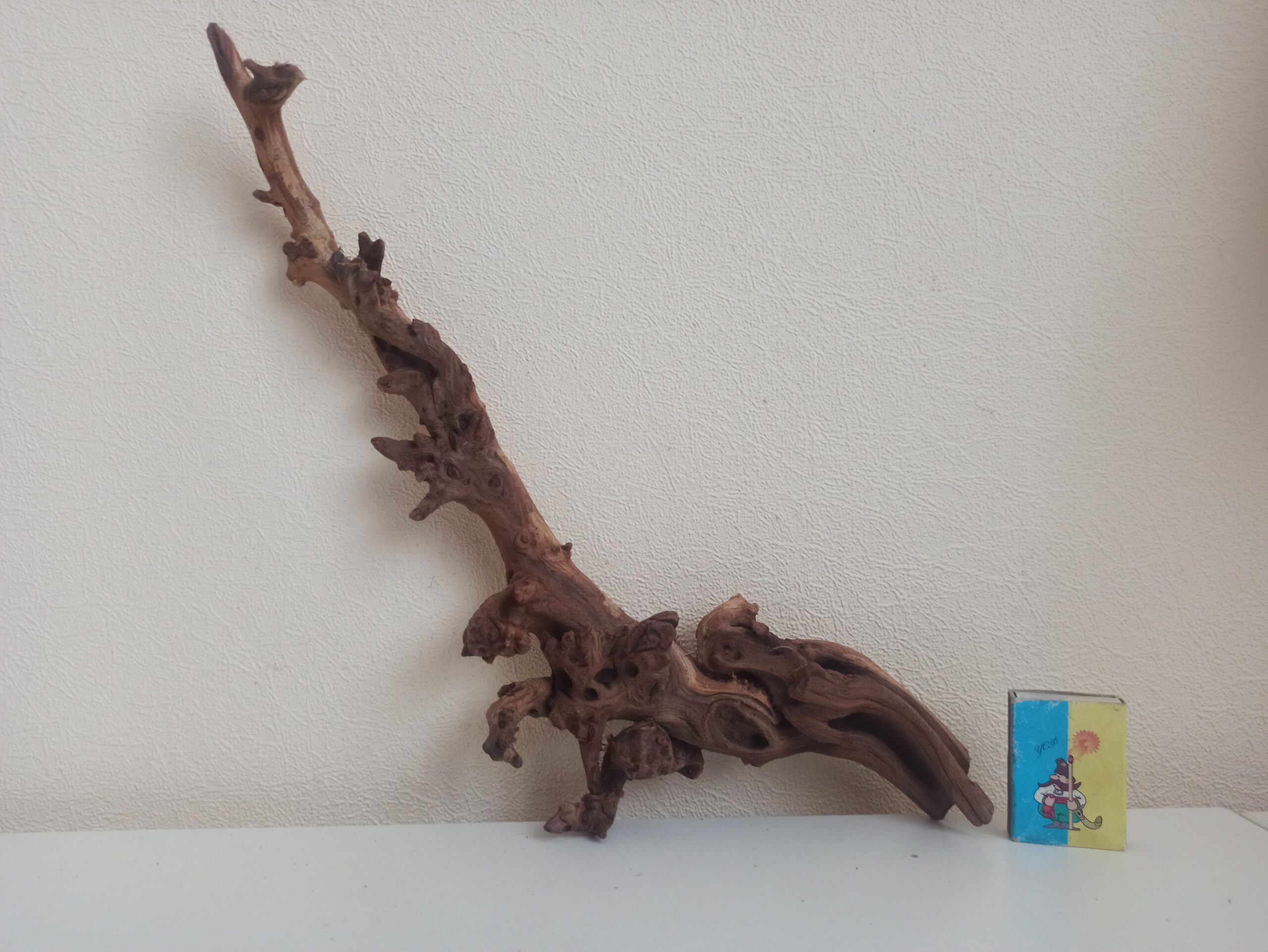 Коряга декор для акваріума # 69. Кораловий корінь. Ціна 385 грн. - Зображення 4