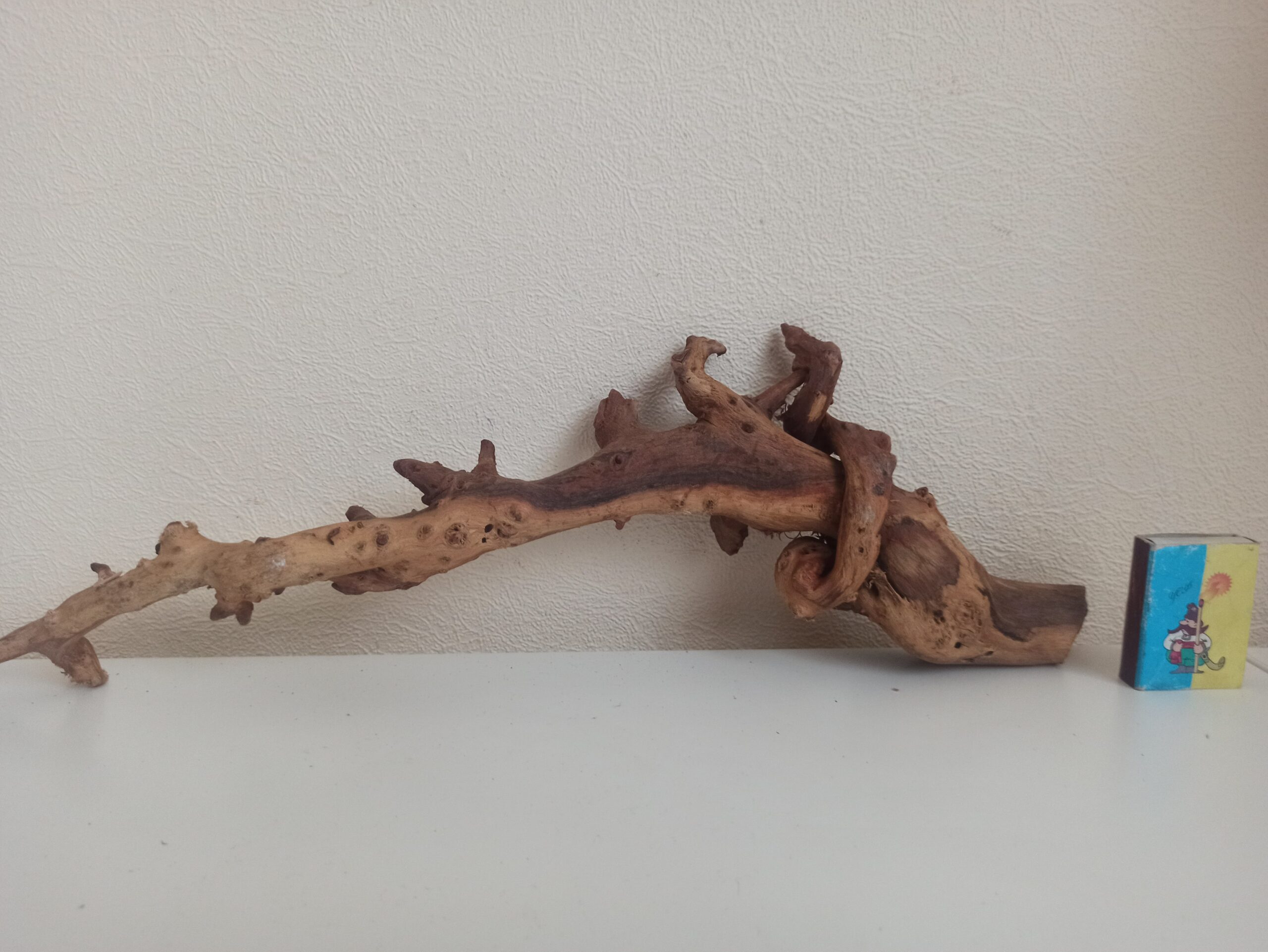 Коряга декор для акваріума # 69. Кораловий корінь. Ціна 385 грн. - Зображення 3