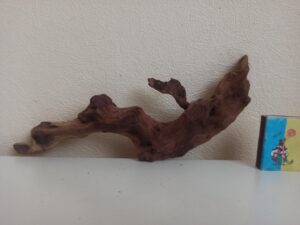 Коряга декор для акваріума # 54. Кораловий корінь. Ціна 220 грн.