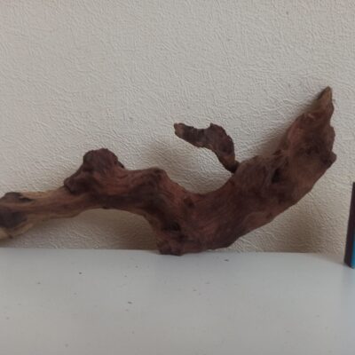 Коряга декор для акваріума # 54. Кораловий корінь. Ціна 220 грн.