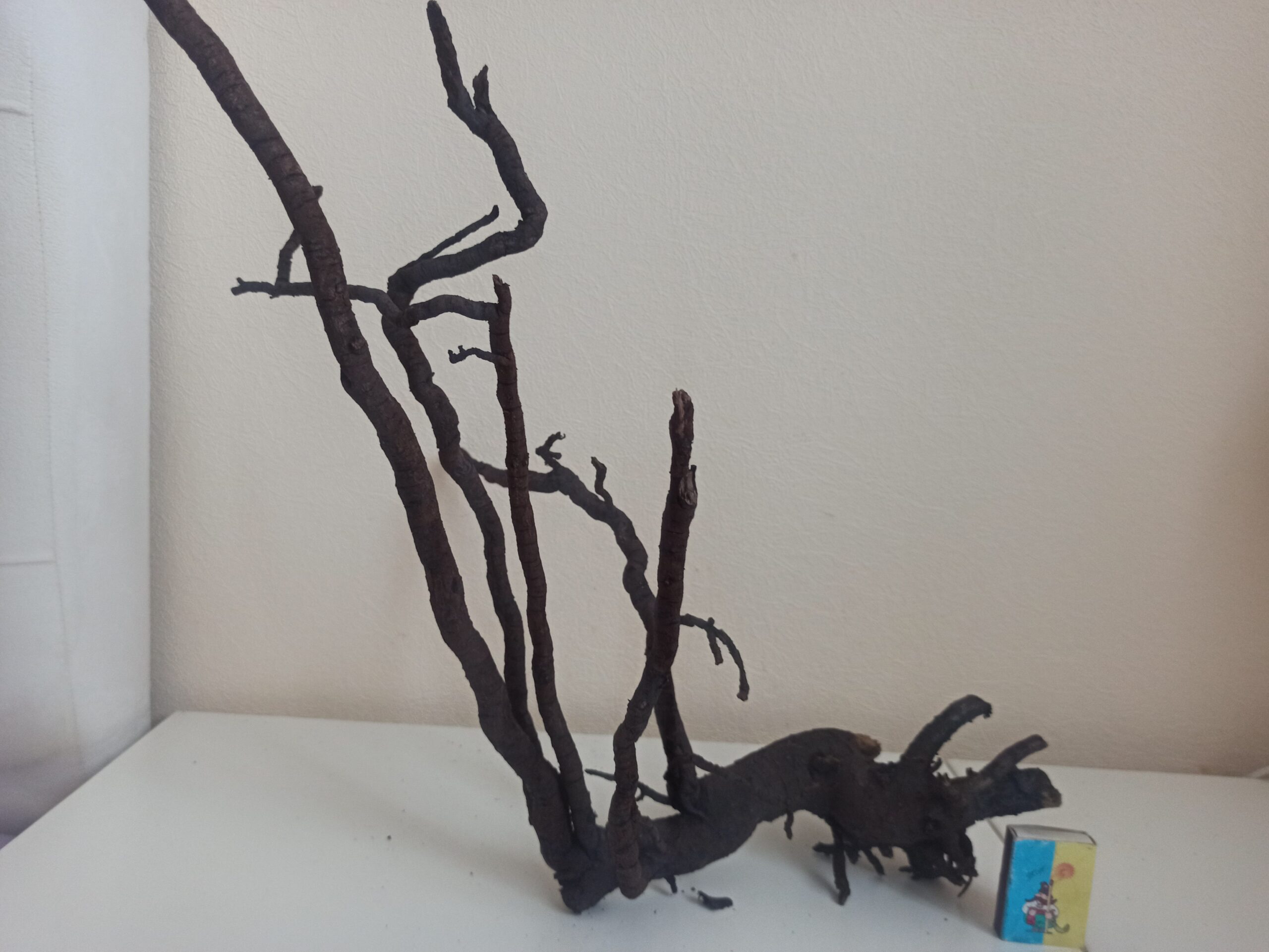 Коряга декор для акваріума # 81. Смородина. Ціна 365 грн.