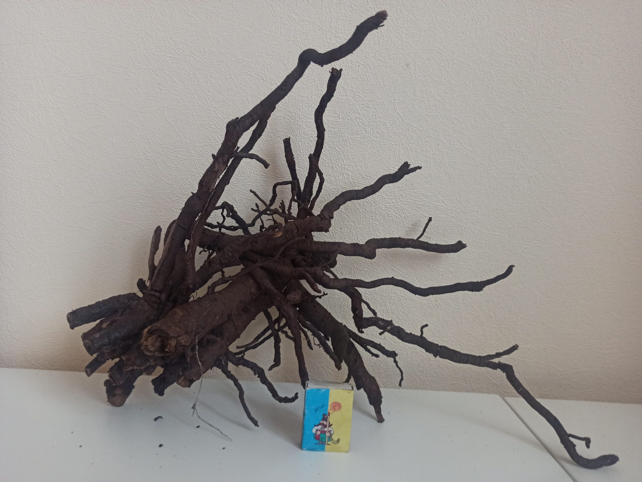 Коряга декор для акваріума # 79. Смородина. Ціна 430 грн. - Зображення 3