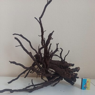 Коряга декор для акваріума # 79. Смородина. Ціна 430 грн.
