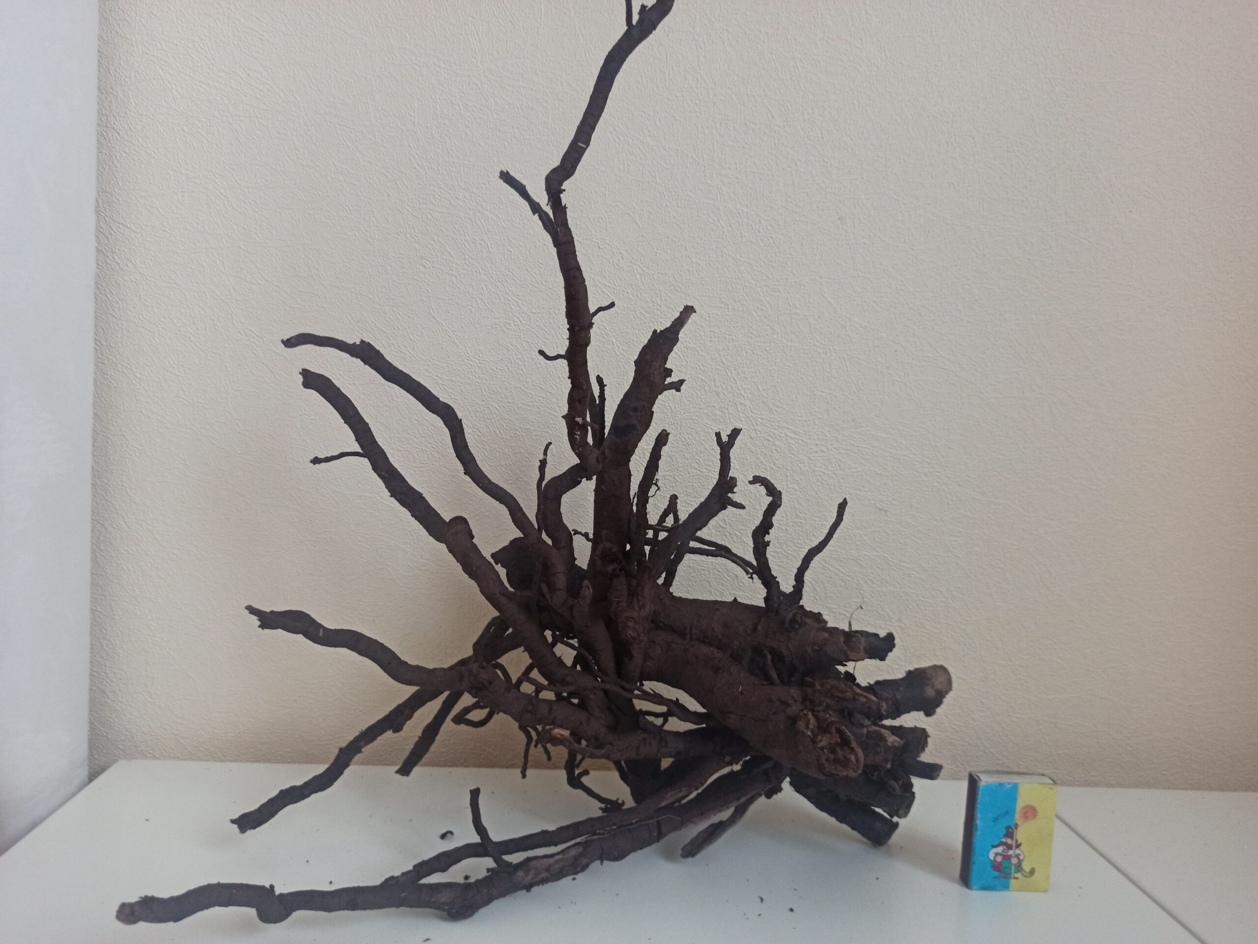 Коряга декор для акваріума # 79. Смородина. Ціна 430 грн.