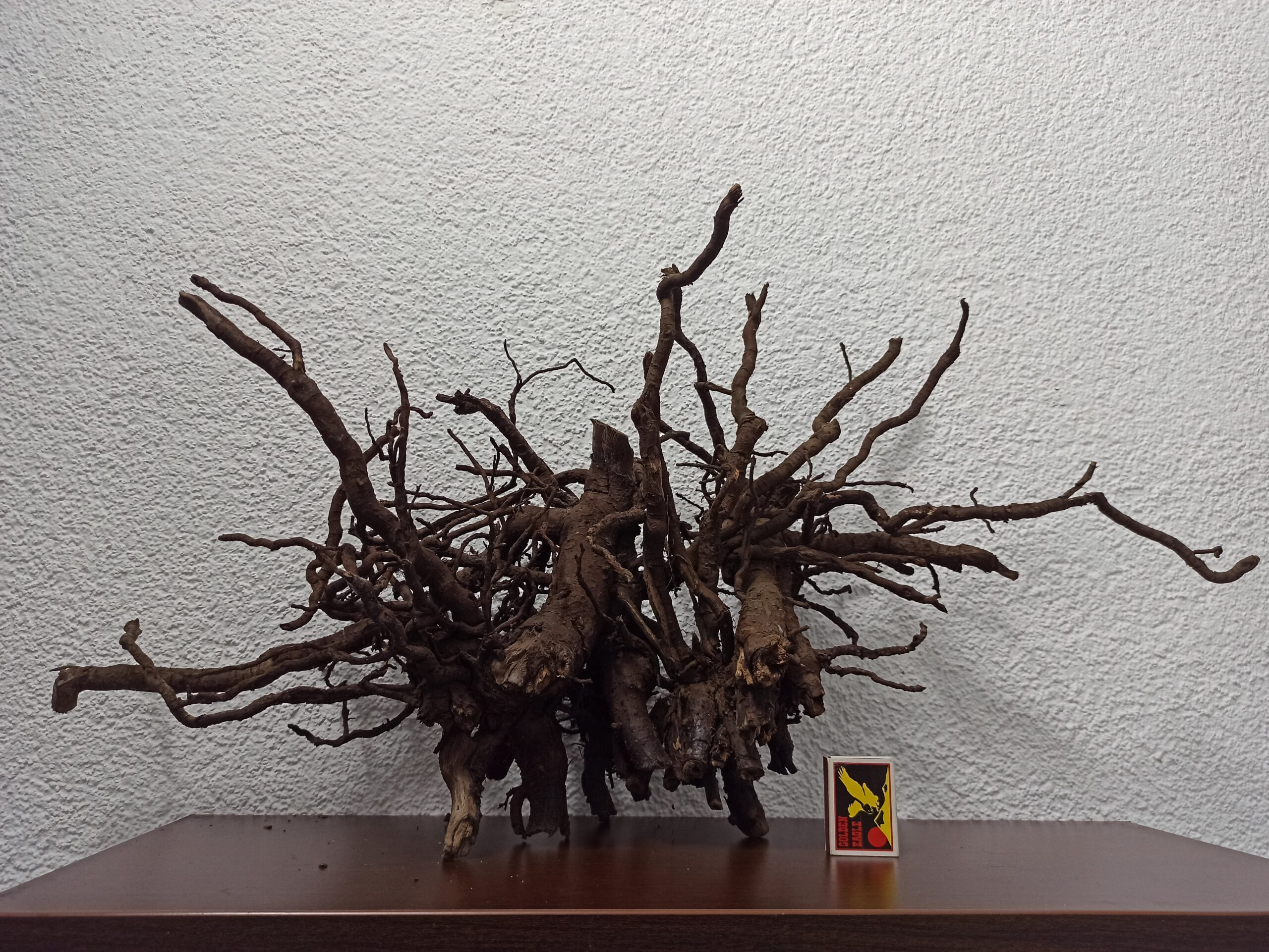 Композиція з коряг для акваріума #5. Смородина. Ціна 690 грн. - Зображення 3