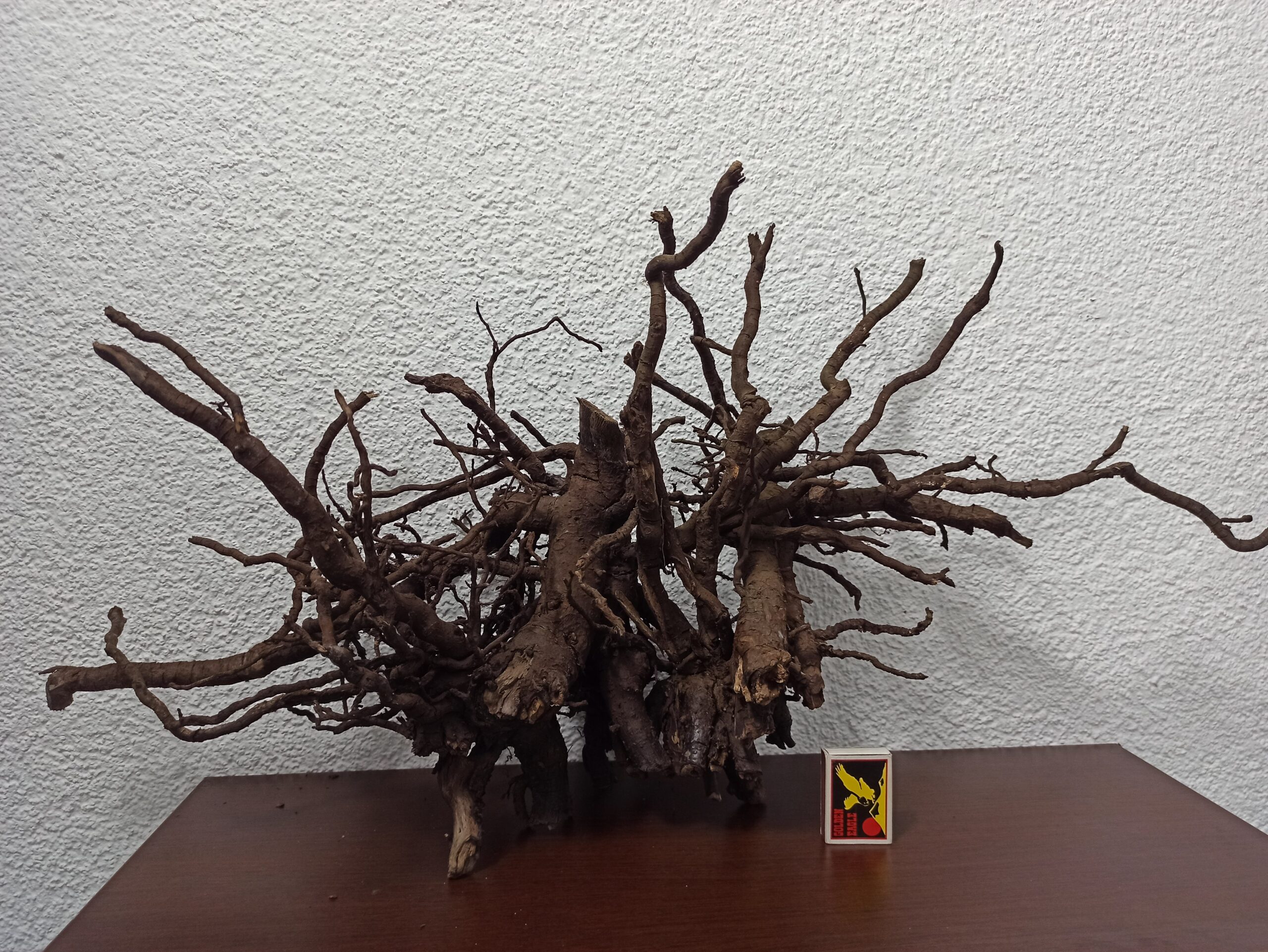 Композиція з коряг для акваріума #5. Смородина. Ціна 690 грн.