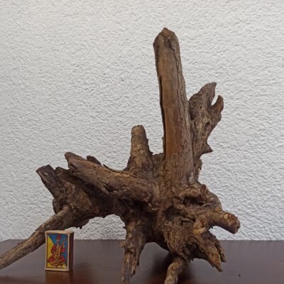 Коряга декор для акваріума # 32. Клен. Ціна 485 грн.