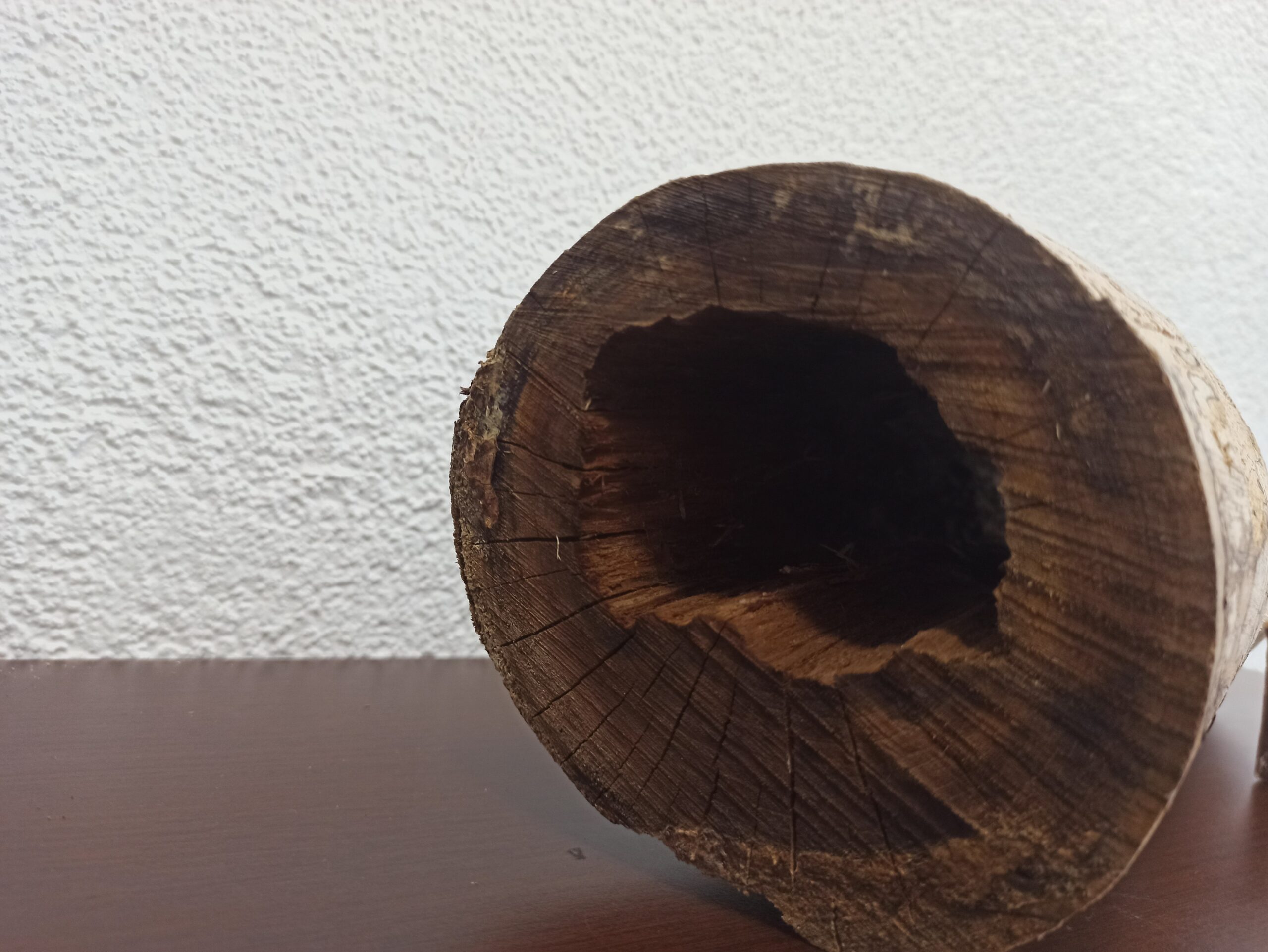 Коряга декор для акваріума # 35. Черешня. Ціна 470 грн. Наскрізна. Для раків, сомів та креветок. - Зображення 10