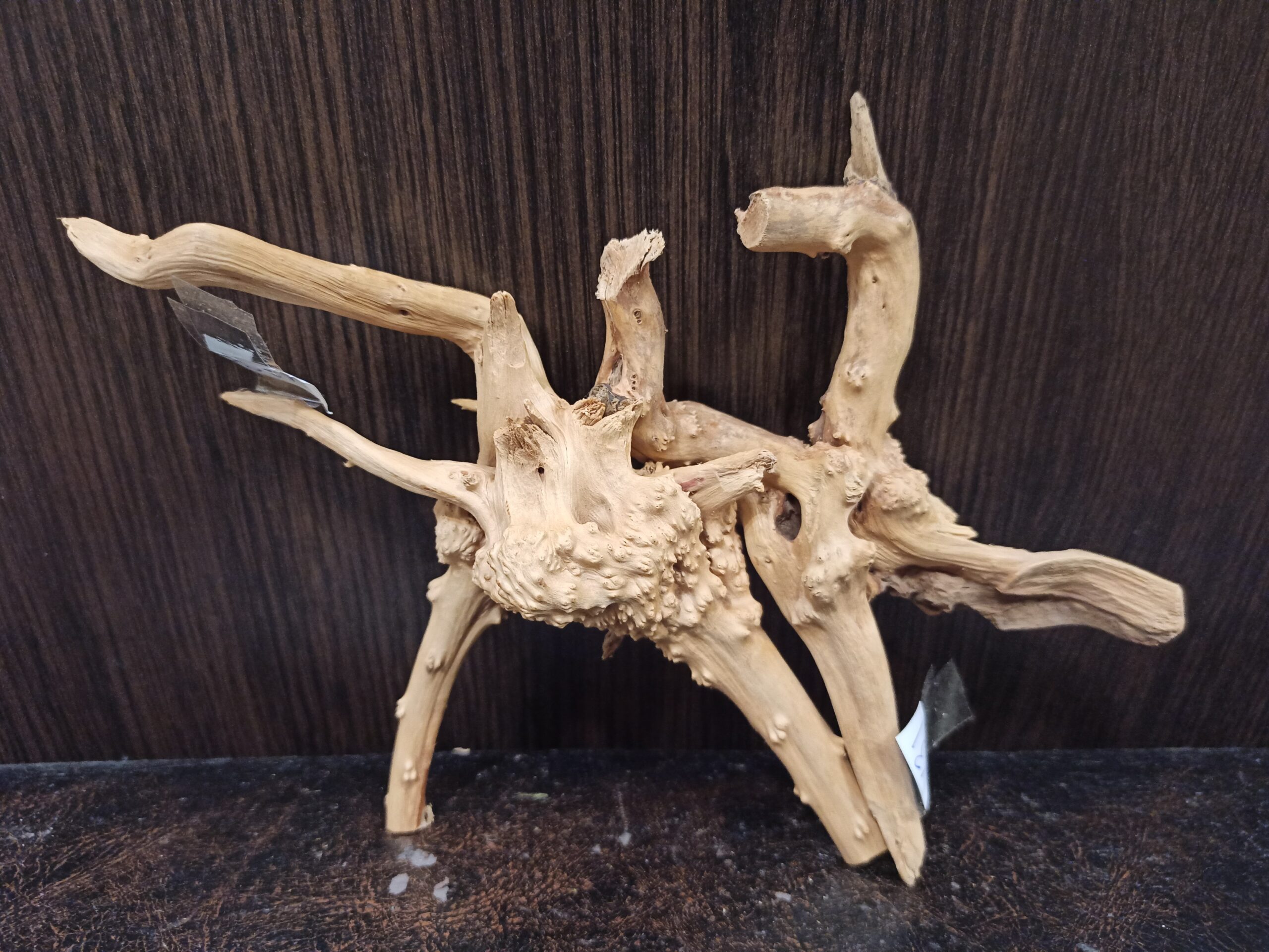 Композиція з коряг для акваріума #8. Азалія. Ціна 290 грн. - Зображення 4