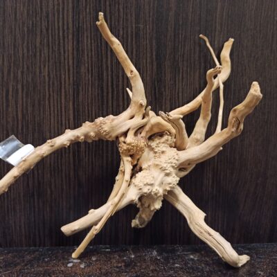 Композиція з коряг для акваріума #15. Азалія. Ціна 320 грн.