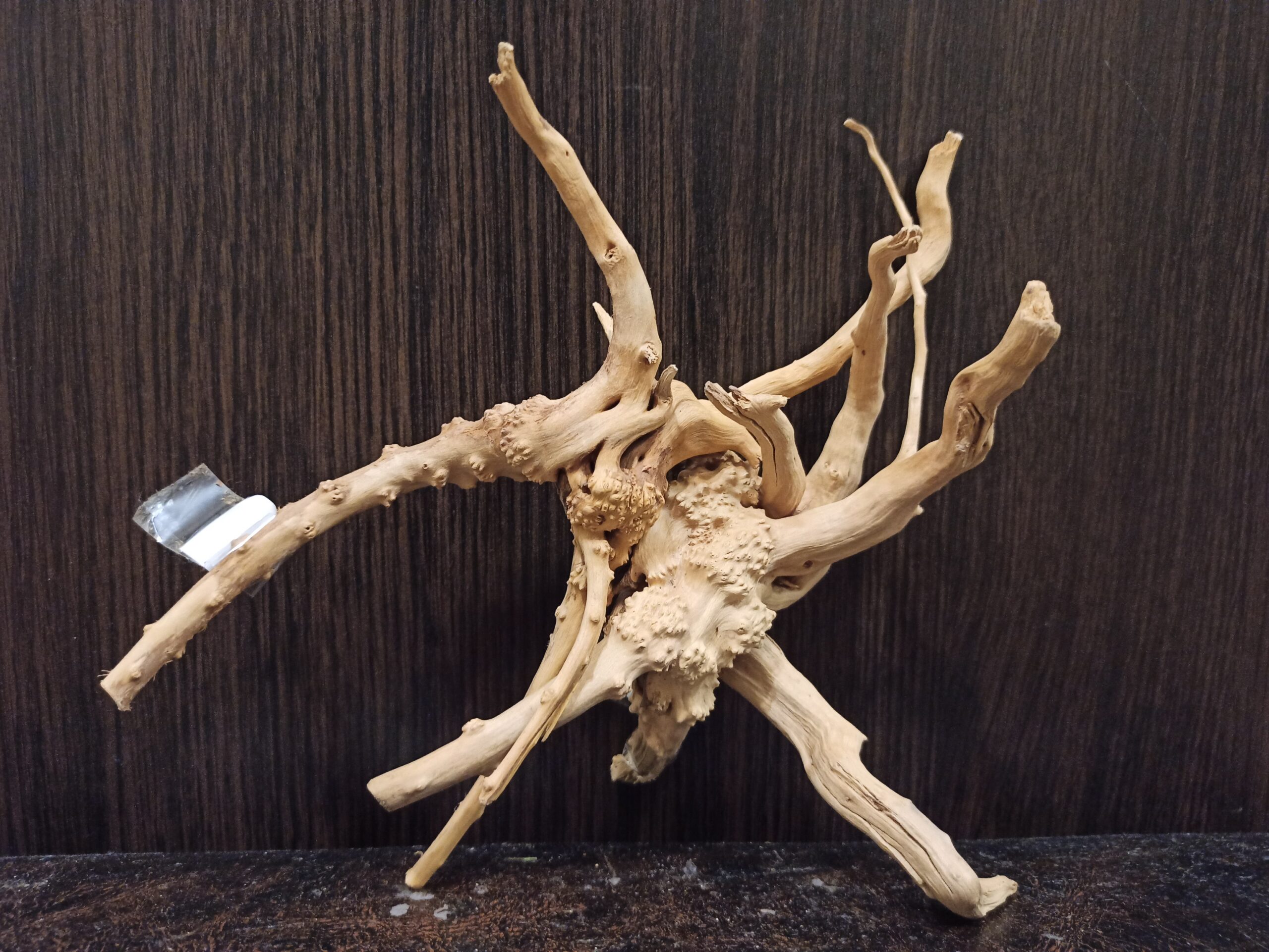 Композиція з коряг для акваріума #15. Азалія. Ціна 320 грн.