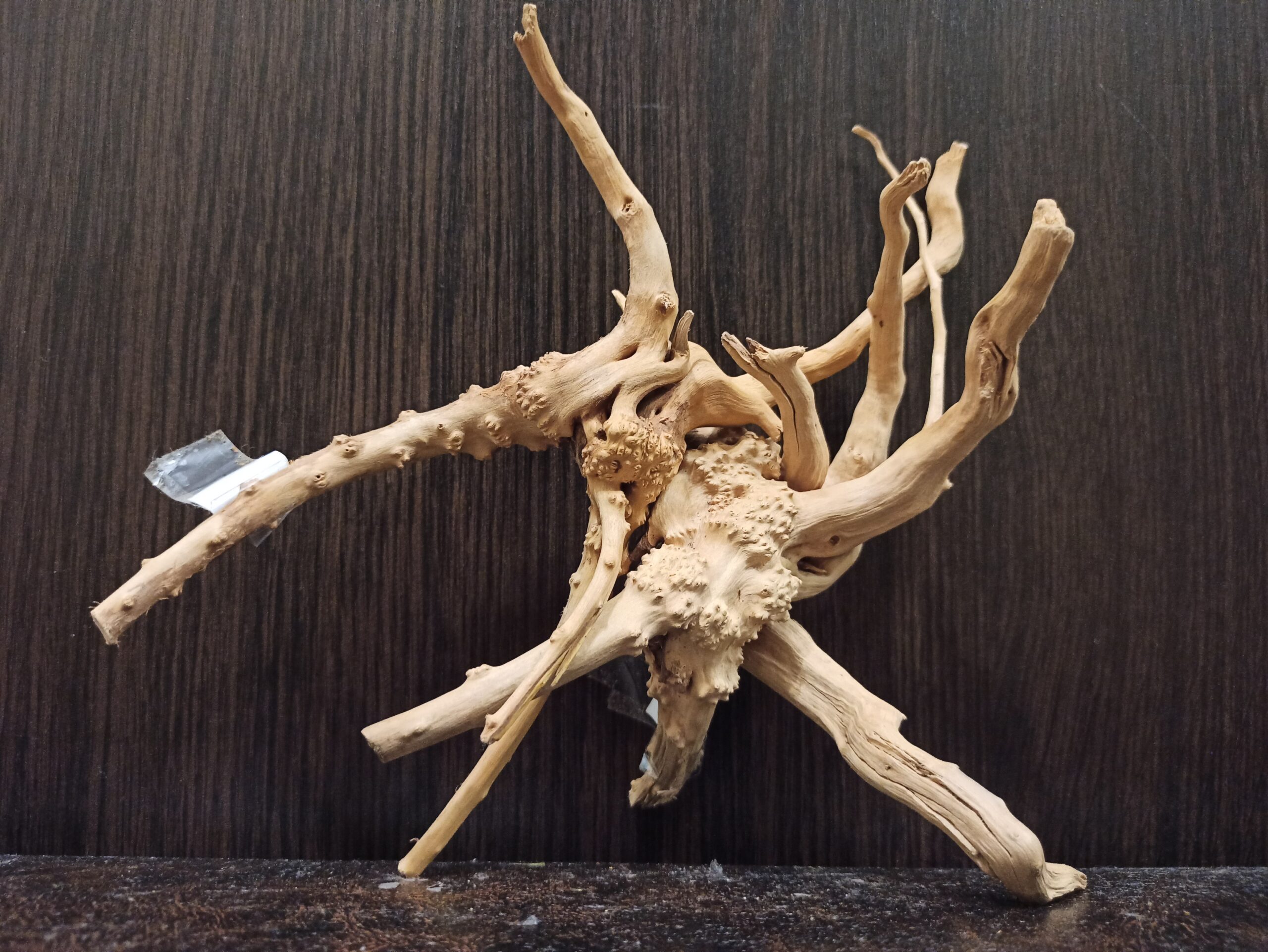 Композиція з коряг для акваріума #15. Азалія. Ціна 320 грн. - Зображення 3