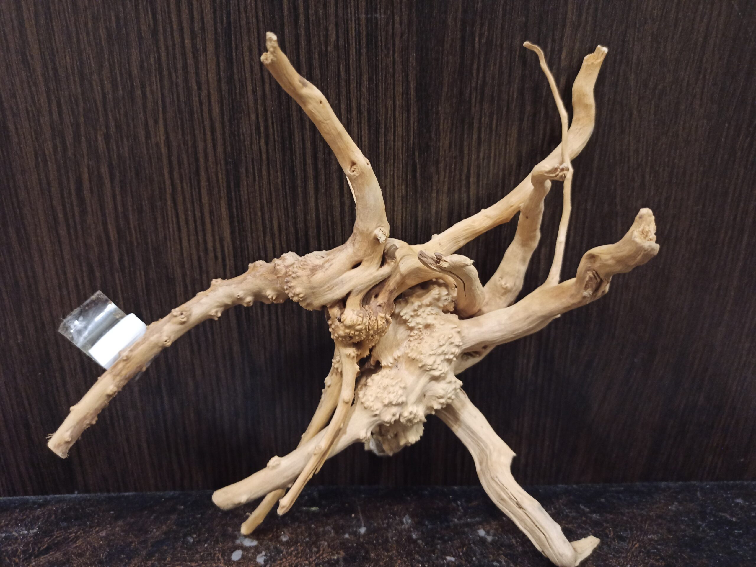 Композиція з коряг для акваріума #15. Азалія. Ціна 320 грн. - Зображення 4