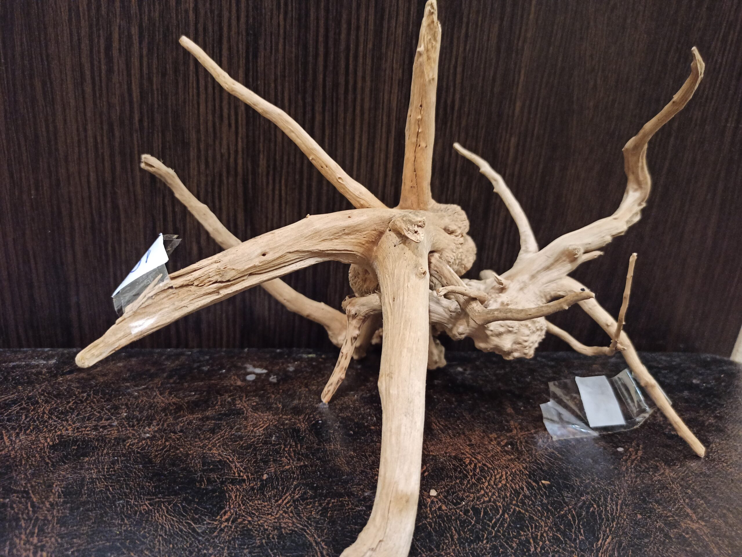 Композиція з коряг для акваріума #17. Азалія. Ціна 320 грн. - Зображення 5