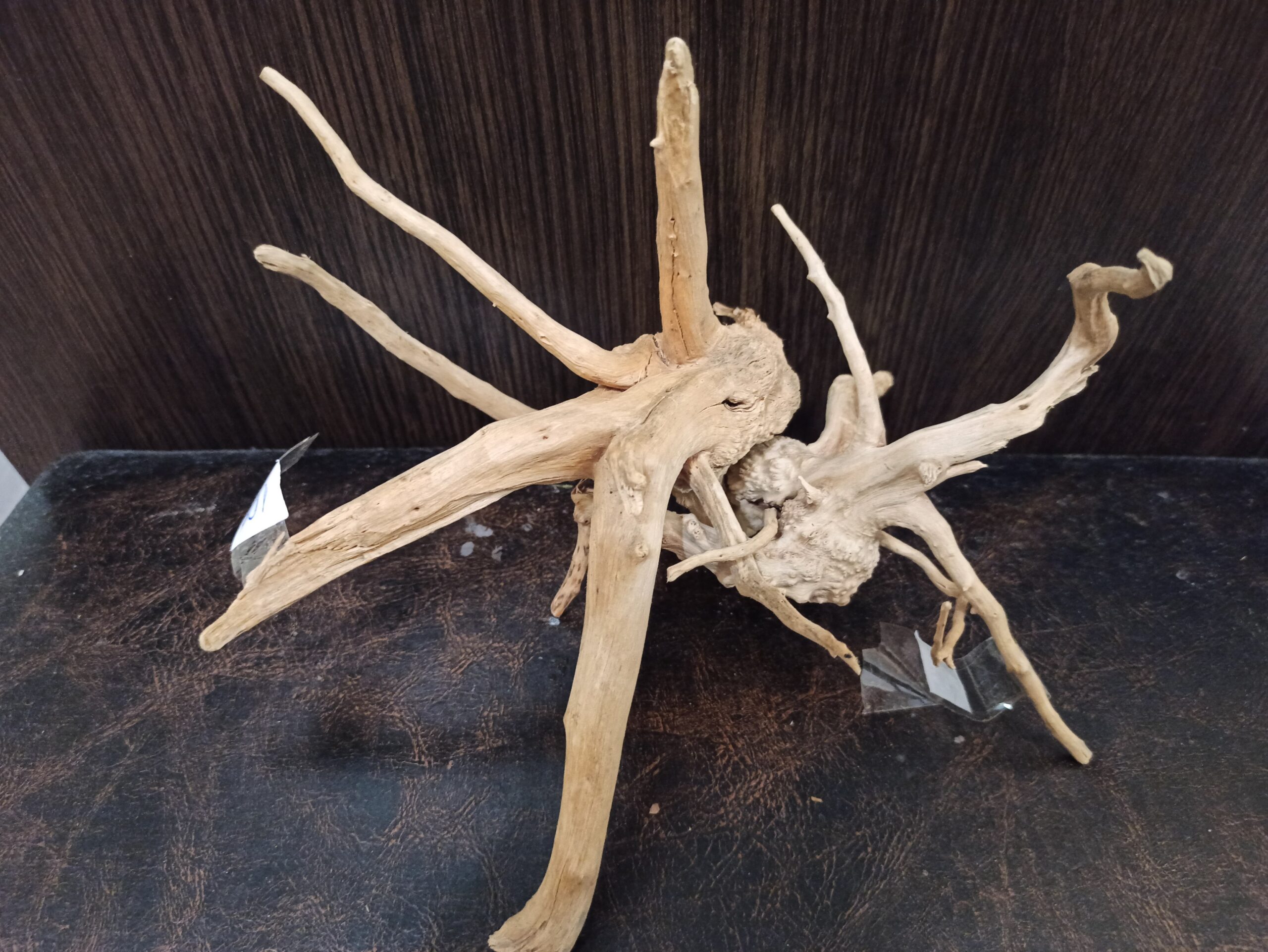 Композиція з коряг для акваріума #17. Азалія. Ціна 320 грн. - Зображення 6