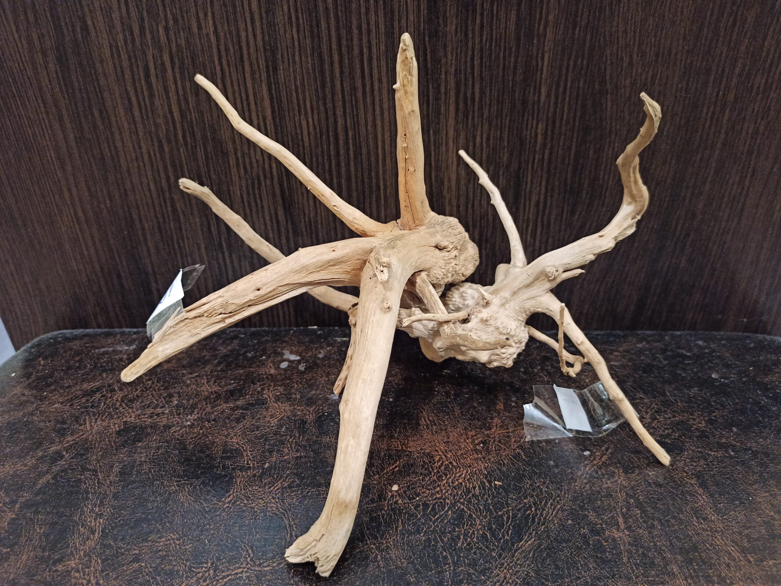 Композиція з коряг для акваріума #17. Азалія. Ціна 320 грн. - Зображення 7