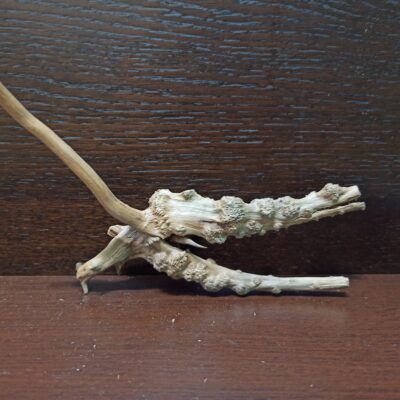 Коряга декор для акваріума # 3. Азалія. Ціна 160 грн.