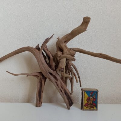 Композиція з коряг для акваріума #21. Азалія. Ціна 320 грн.