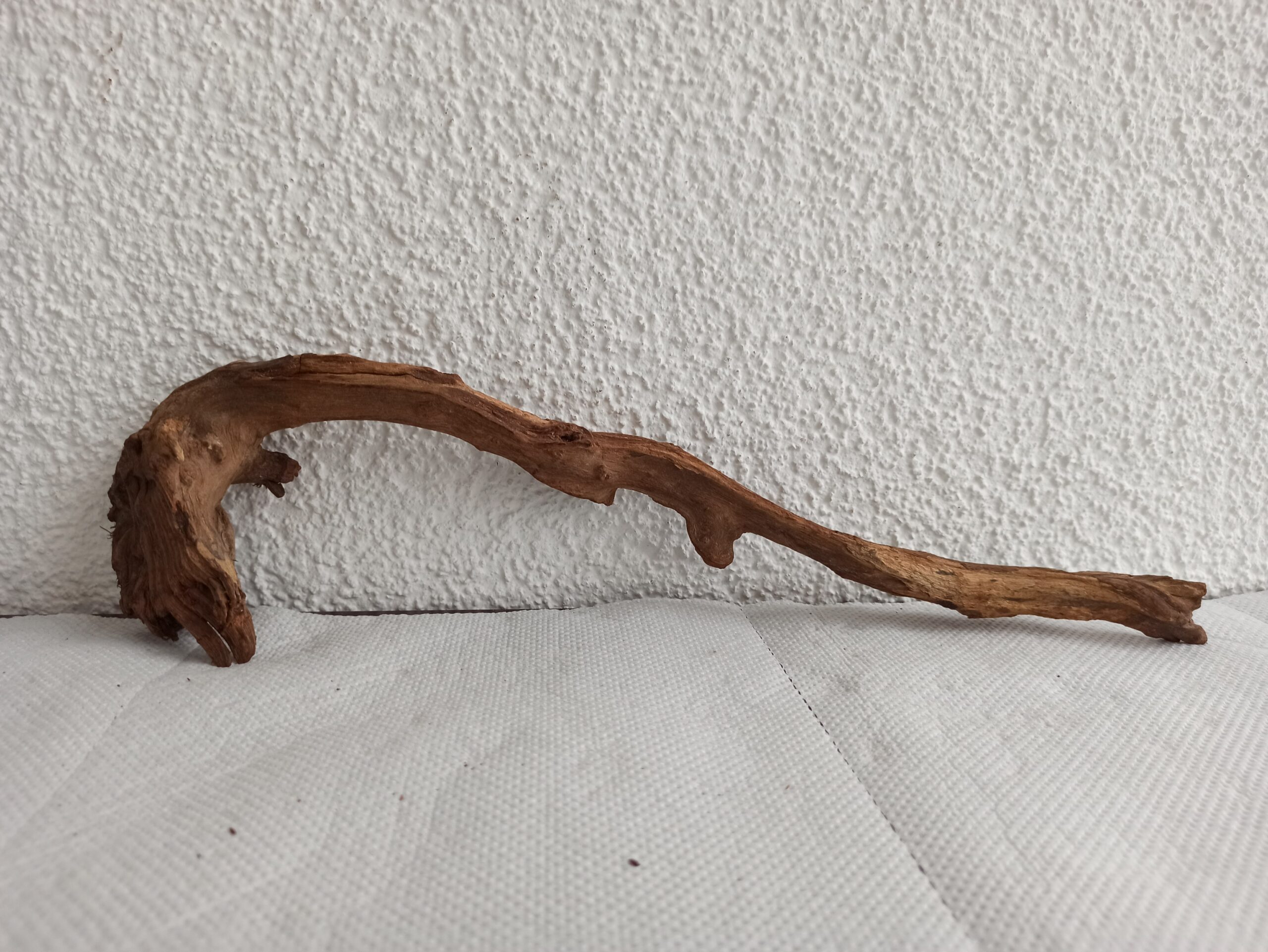 Коряга декор для акваріума # 79. Кораловий корінь. Ціна 230 грн. - Зображення 4