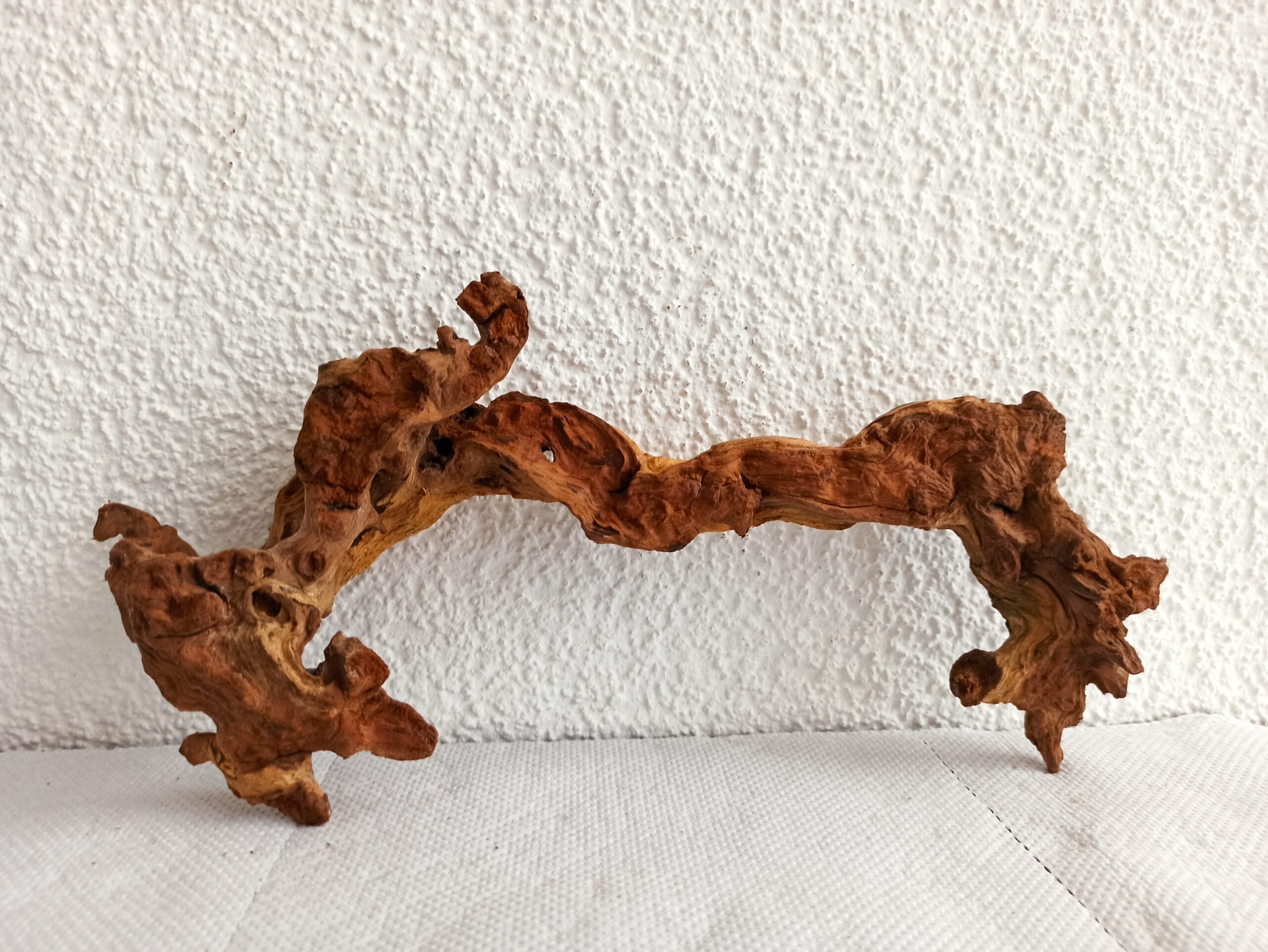 Коряга декор для акваріума # 8. Кораловий корінь. Ціна 295 грн. - Зображення 3