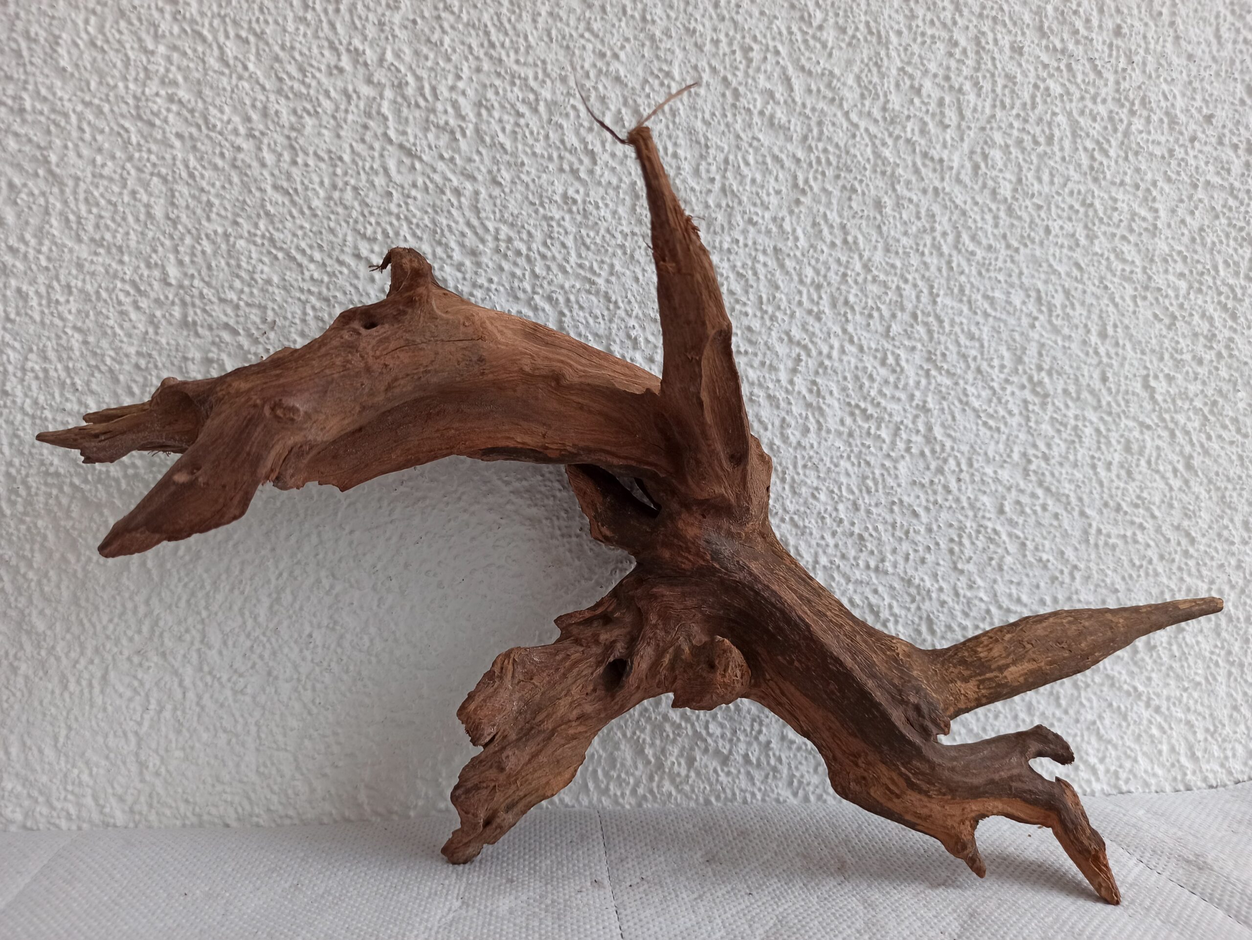 Коряга декор для акваріума # 93. Кораловий корінь. Ціна 550 грн. - Зображення 2