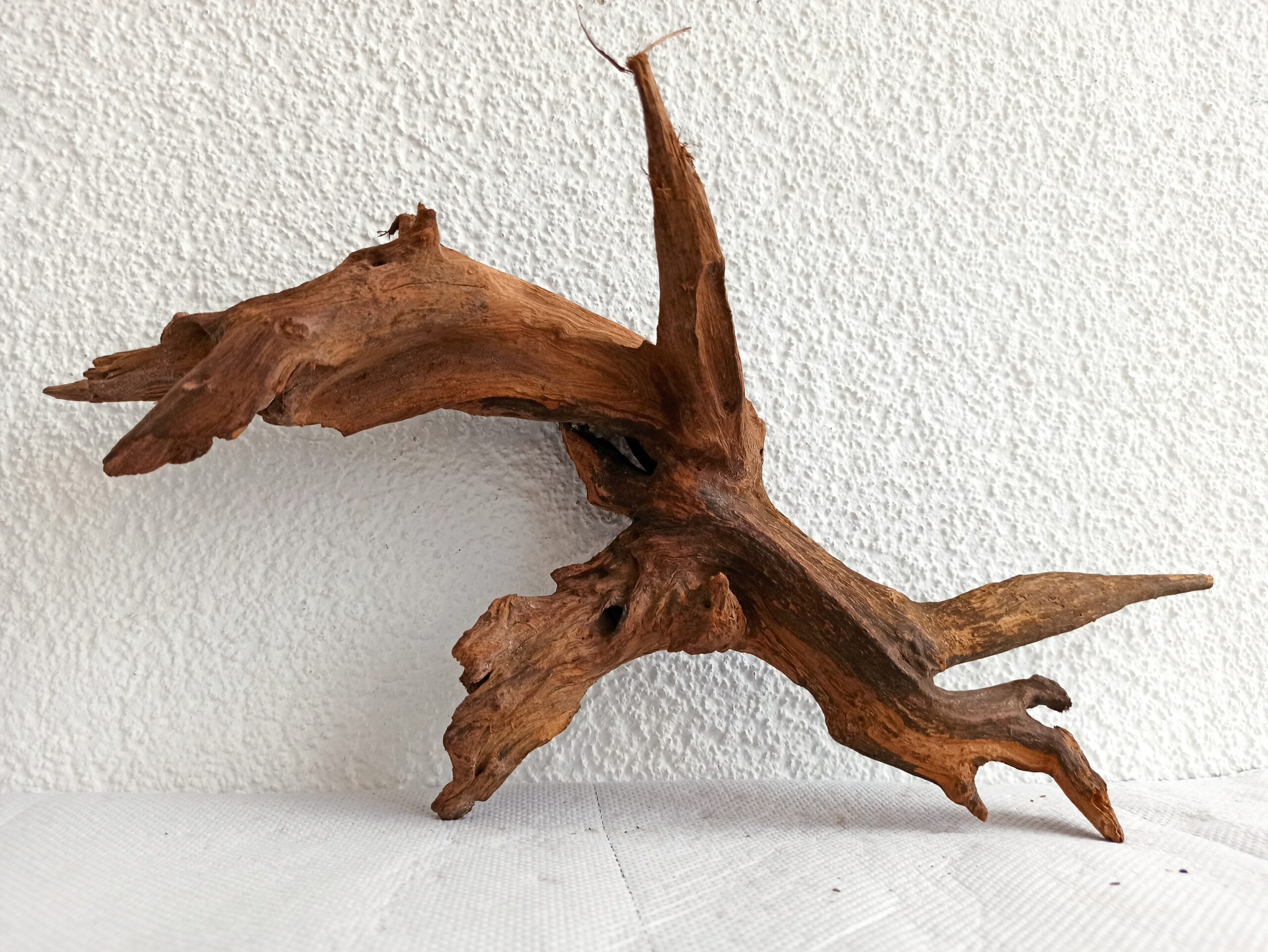 Коряга декор для акваріума # 93. Кораловий корінь. Ціна 550 грн. - Зображення 3